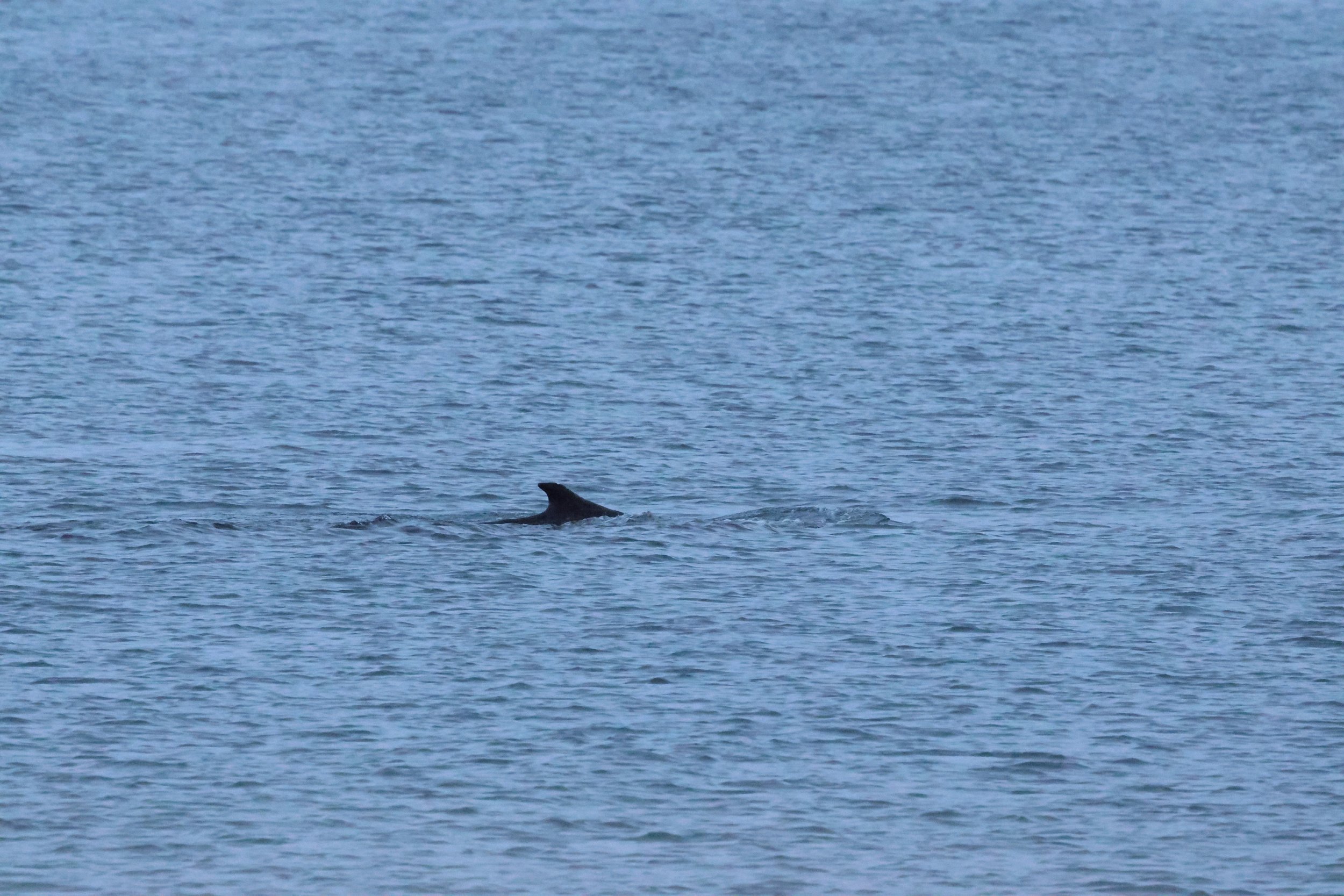 2026_01_08_1100_KON_GISELA (130).JPG