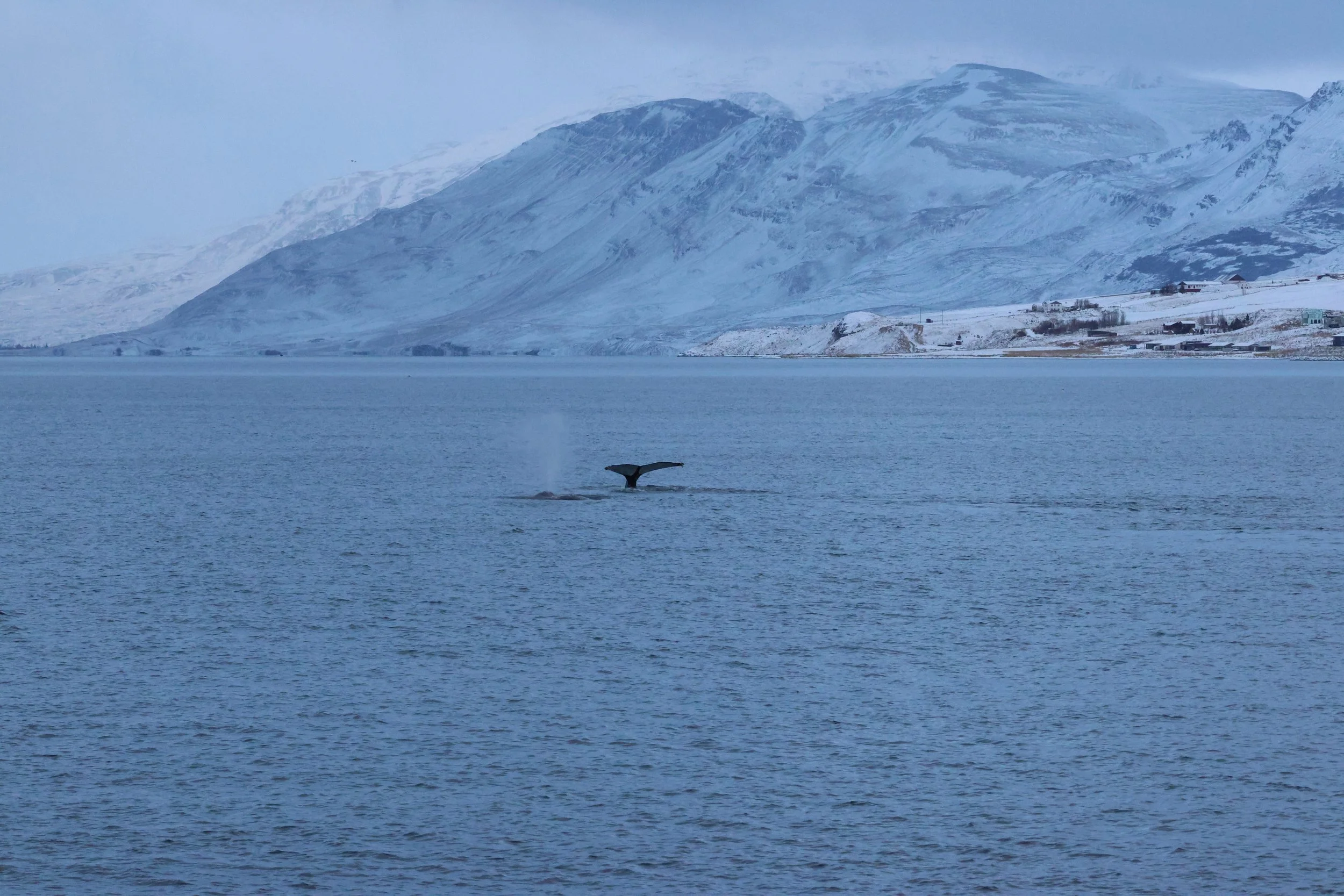 2026_01_08_1100_KON_GISELA (143).JPG