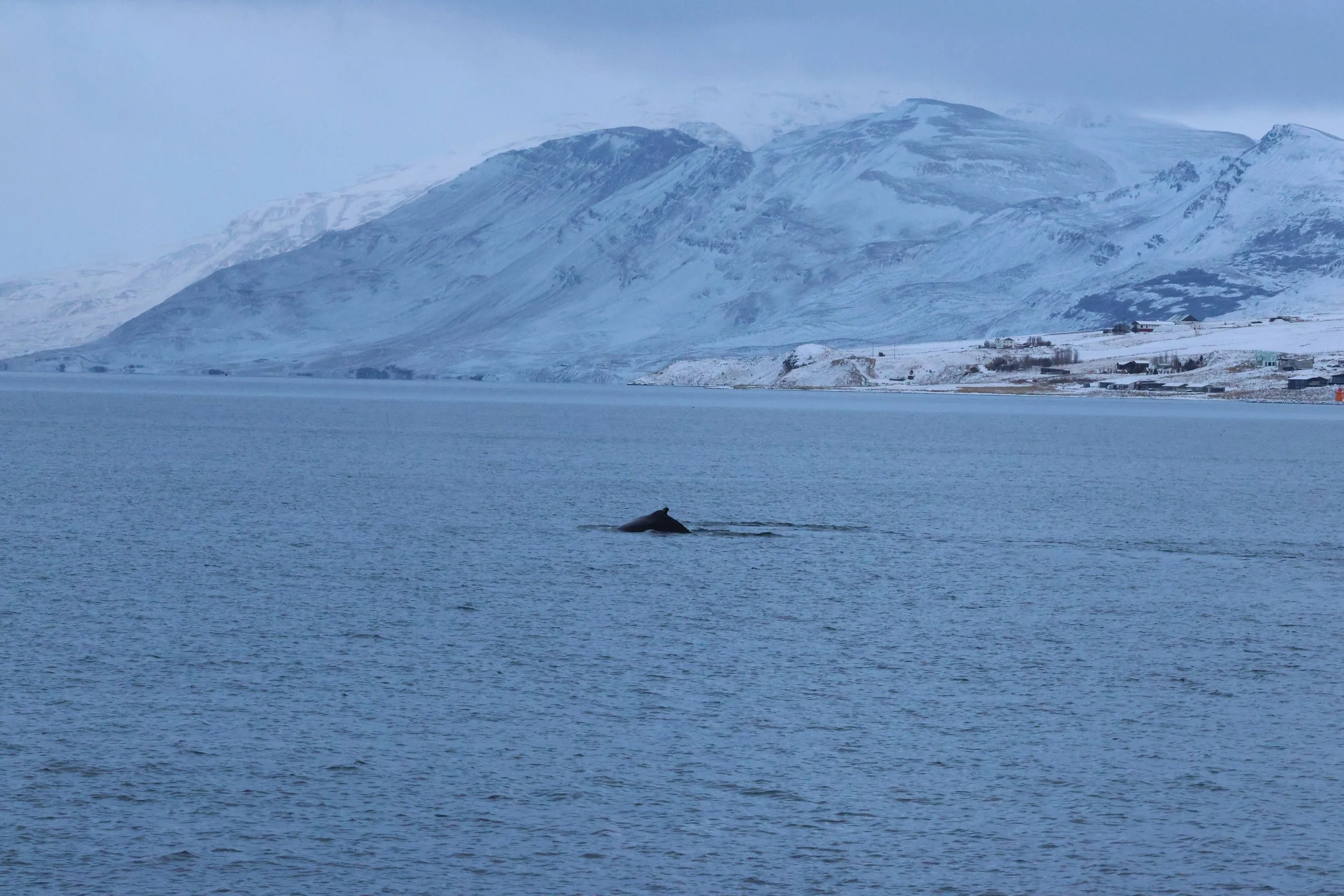 2026_01_08_1100_KON_GISELA (145).JPG