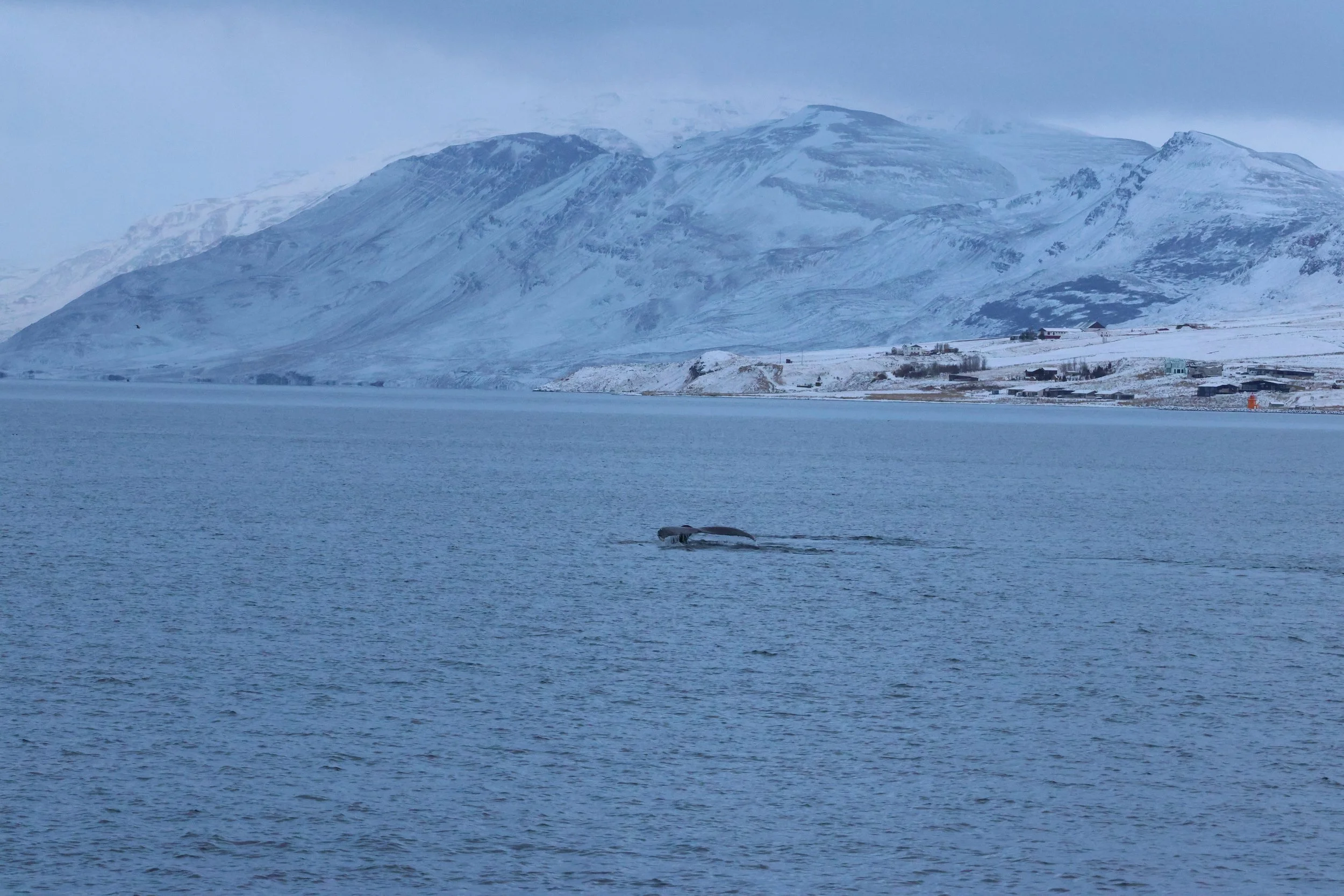 2026_01_08_1100_KON_GISELA (146).JPG