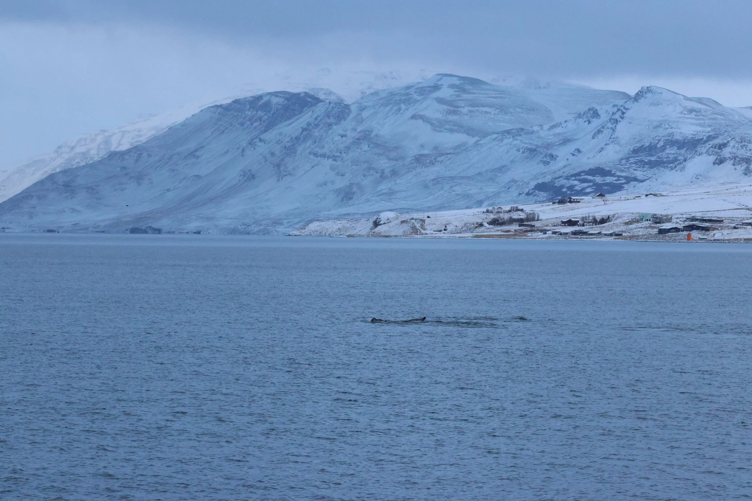 2026_01_08_1100_KON_GISELA (147).JPG