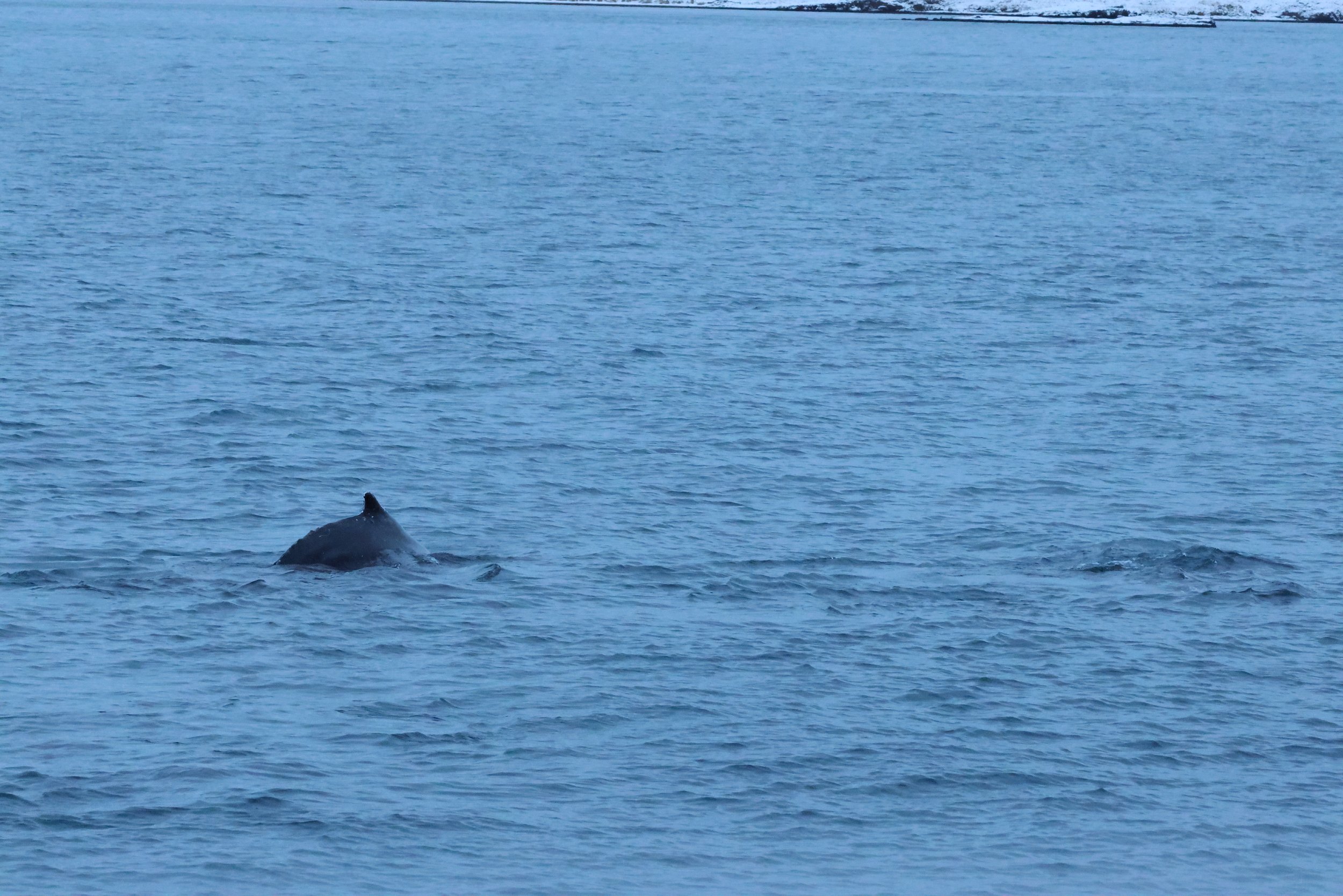 2026_01_08_1100_KON_GISELA (25).JPG