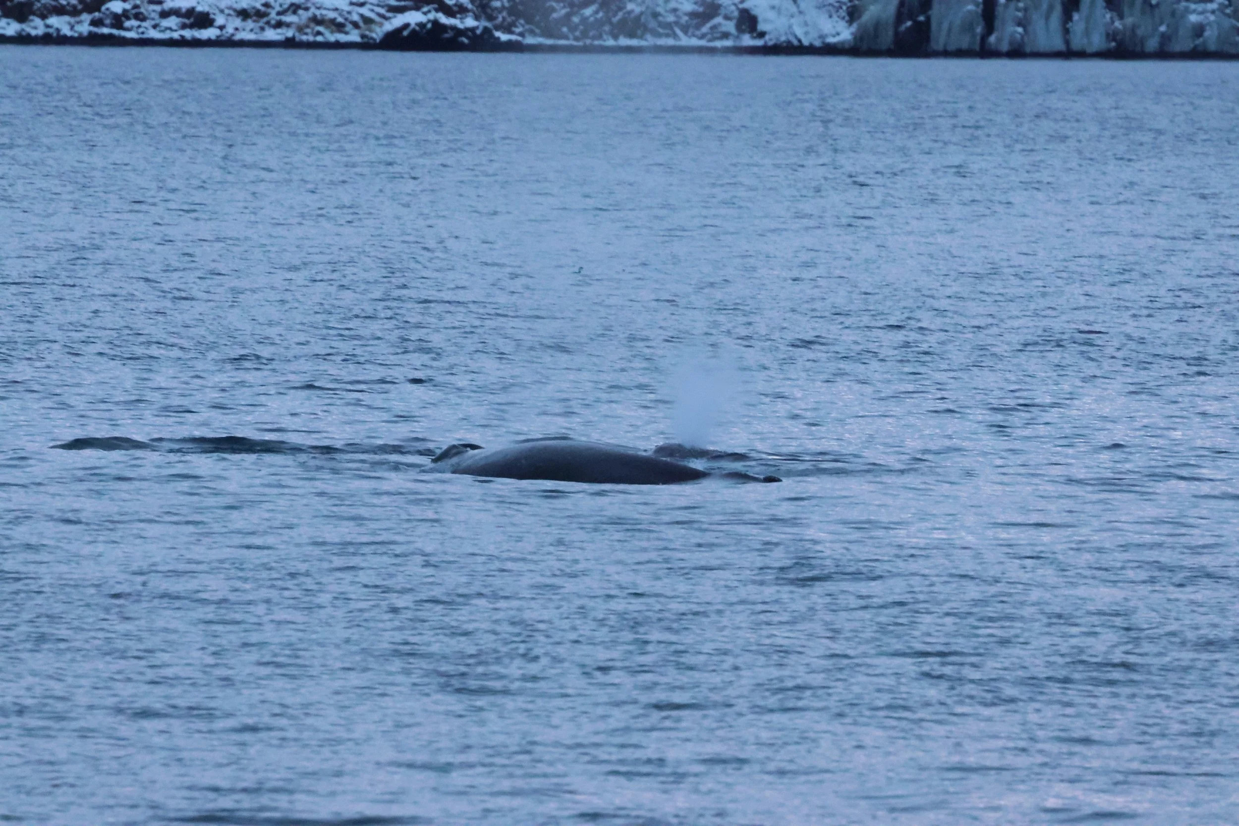 2026_01_08_1100_KON_GISELA (41).JPG