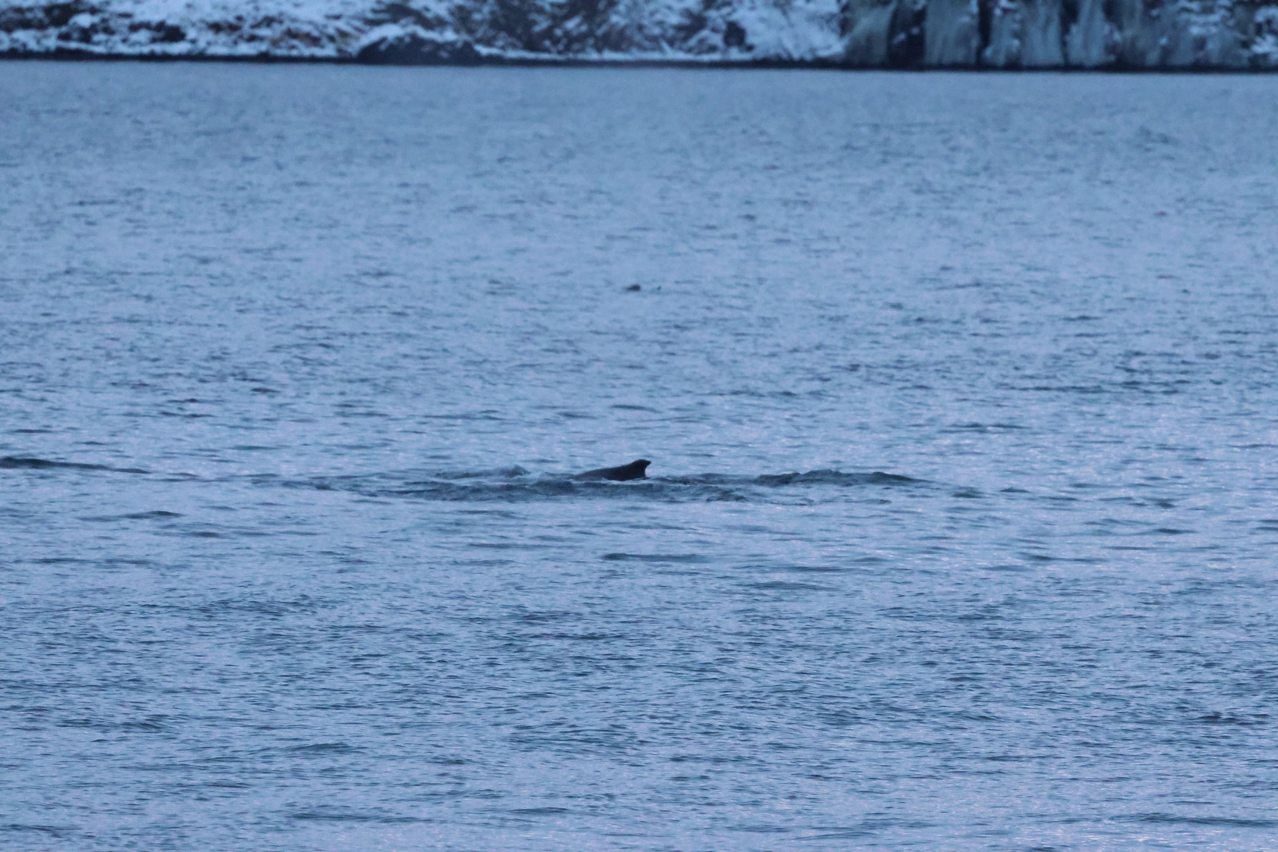 2026_01_08_1100_KON_GISELA (43).JPG