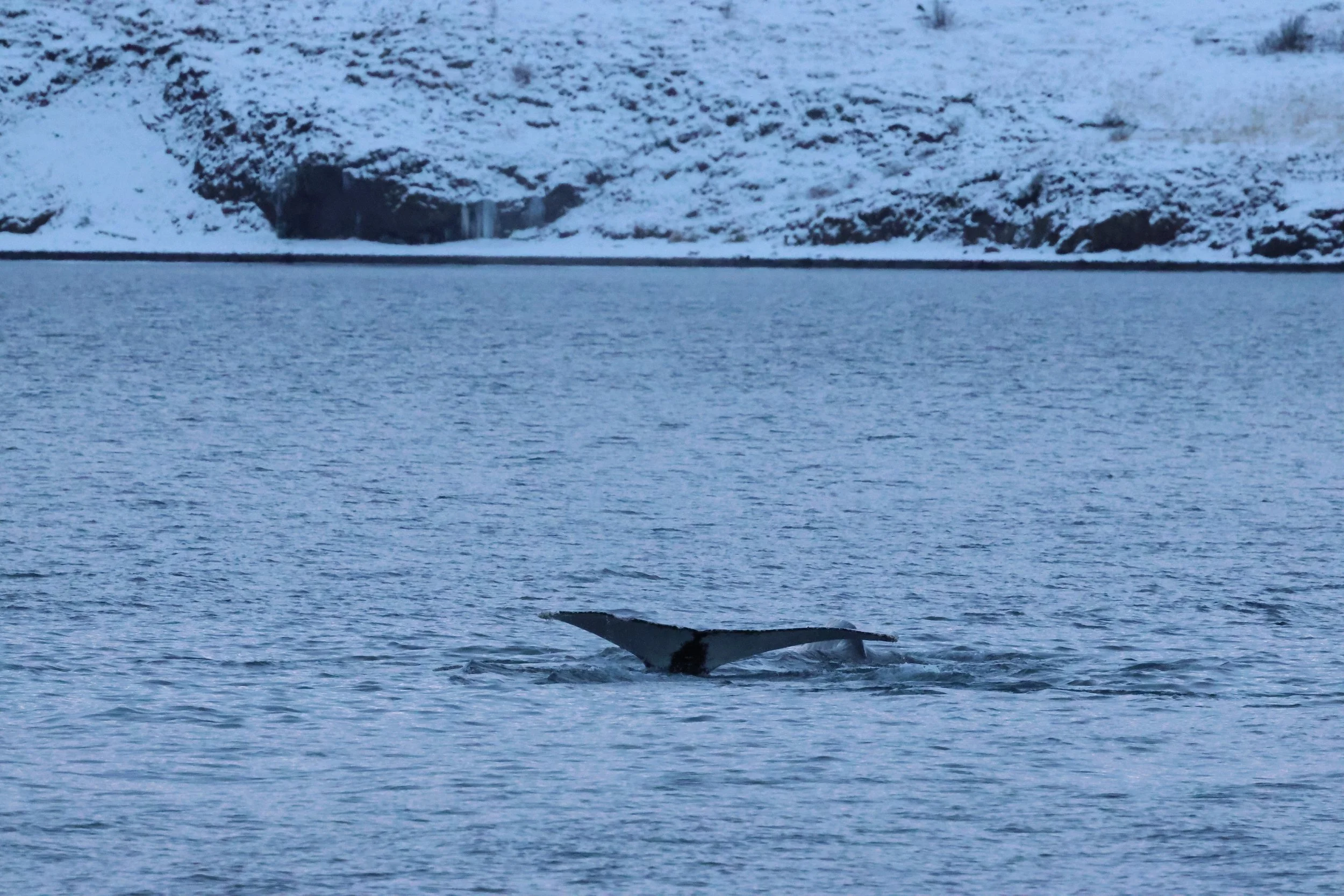 2026_01_08_1100_KON_GISELA (47).JPG