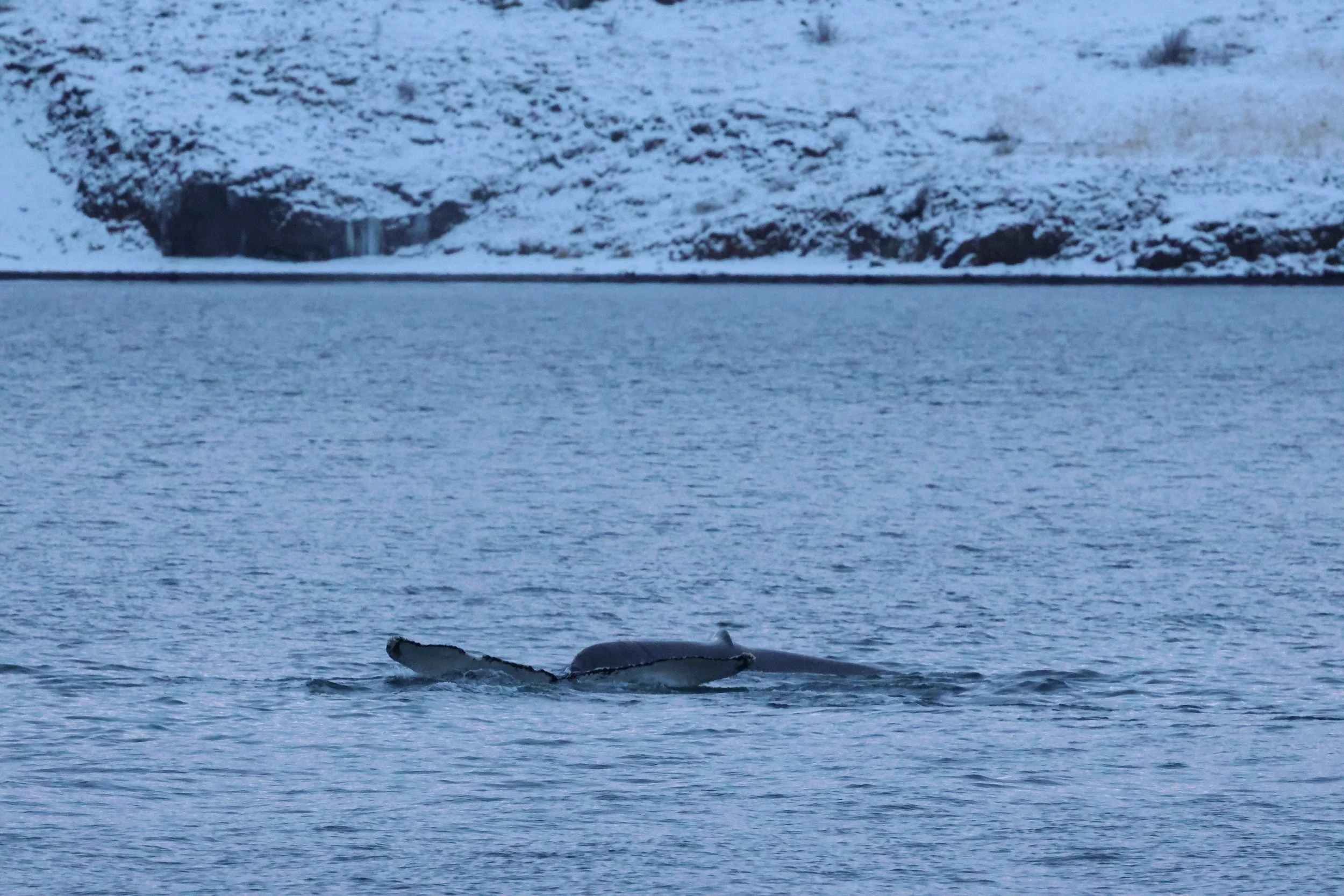 2026_01_08_1100_KON_GISELA (48).JPG