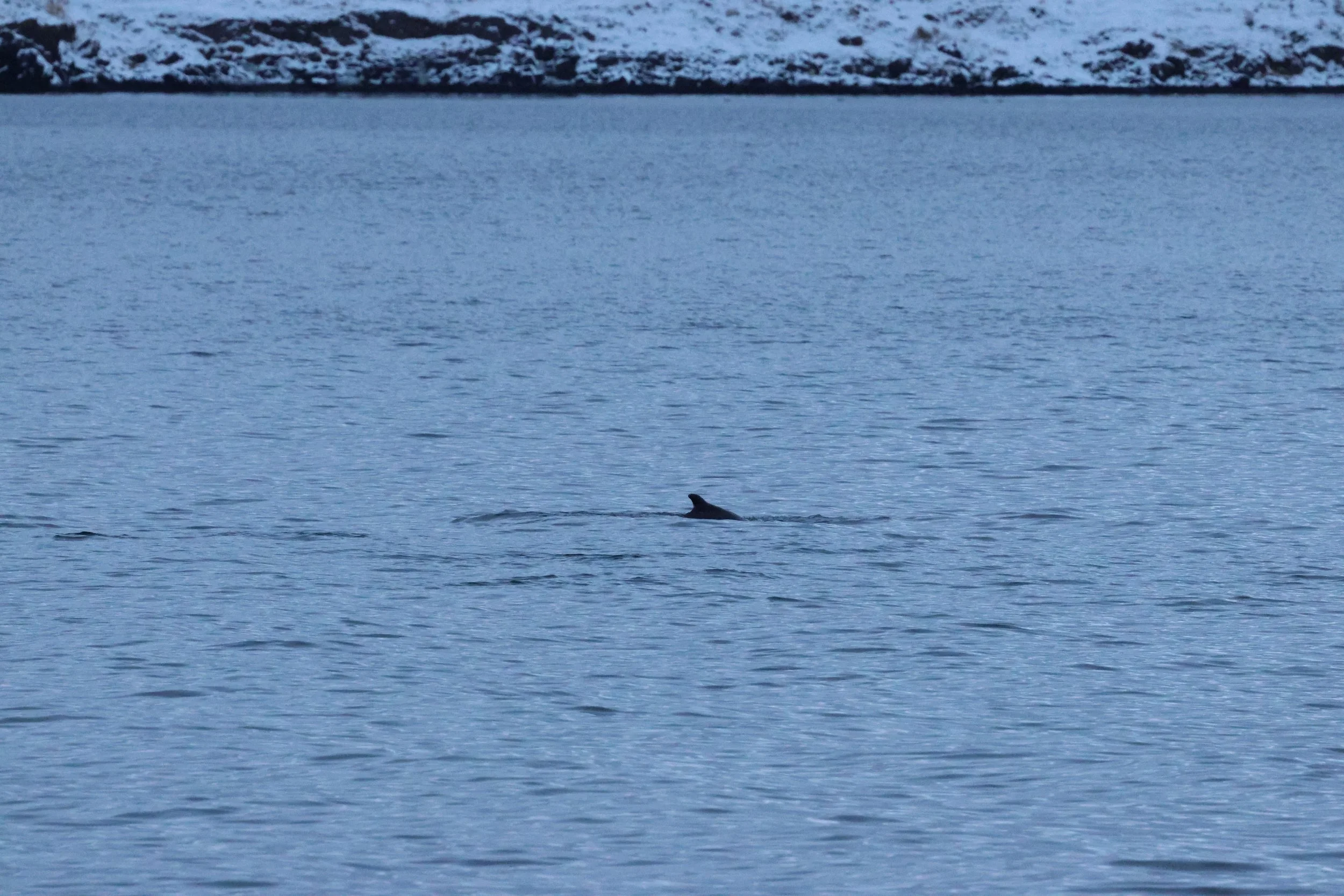 2026_01_08_1100_KON_GISELA (51).JPG