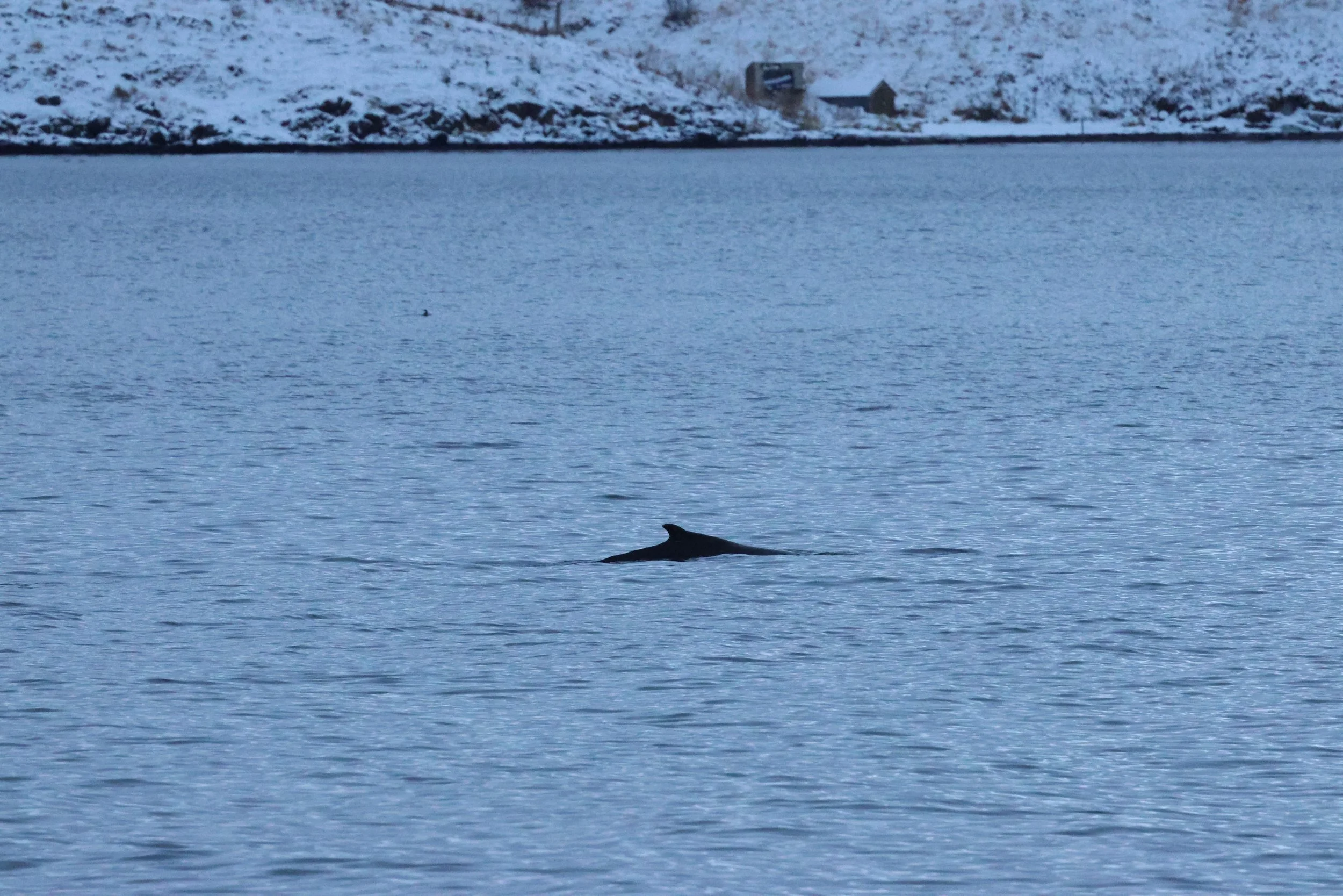 2026_01_08_1100_KON_GISELA (52).JPG