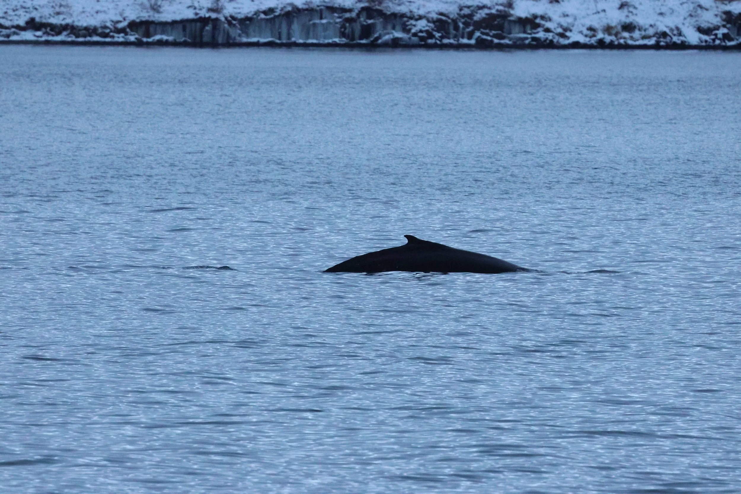 2026_01_08_1100_KON_GISELA (53).JPG