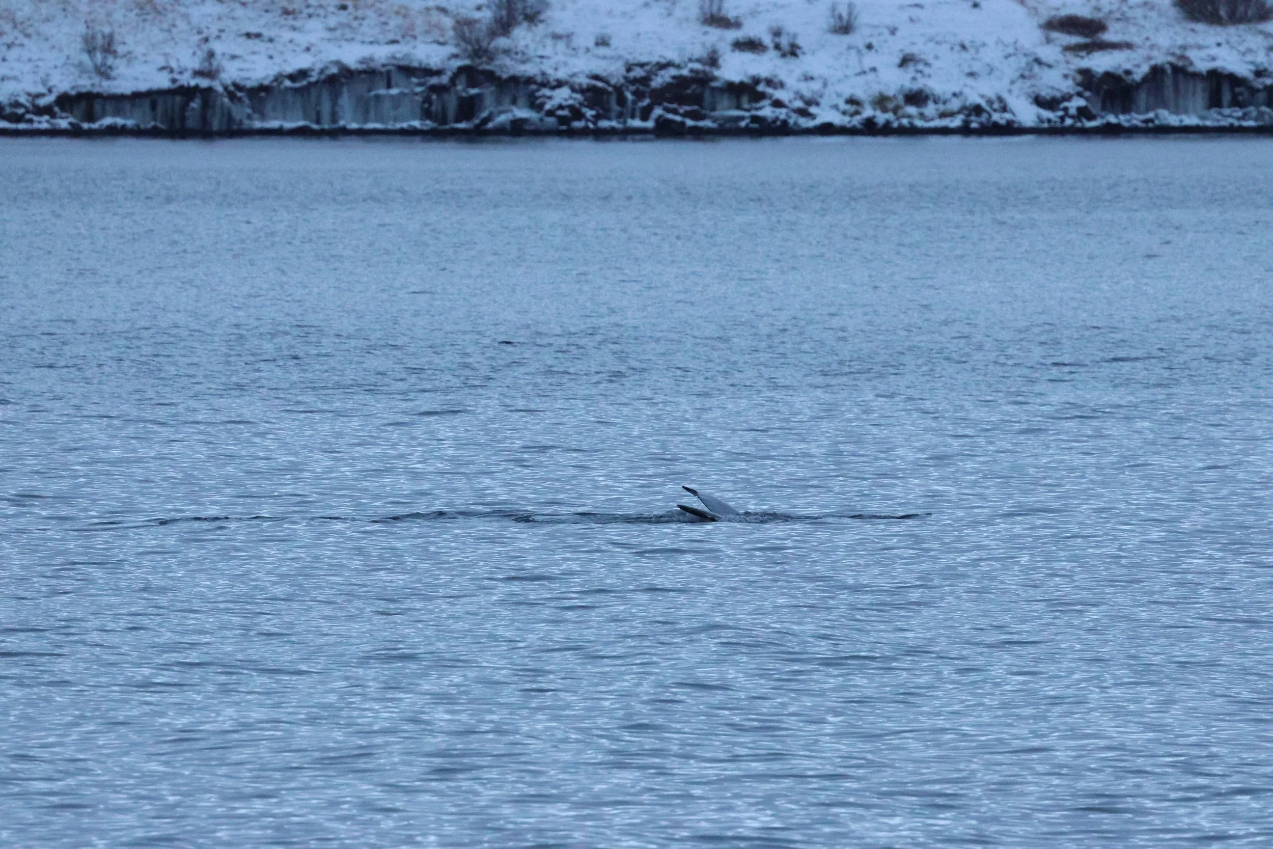 2026_01_08_1100_KON_GISELA (54).JPG