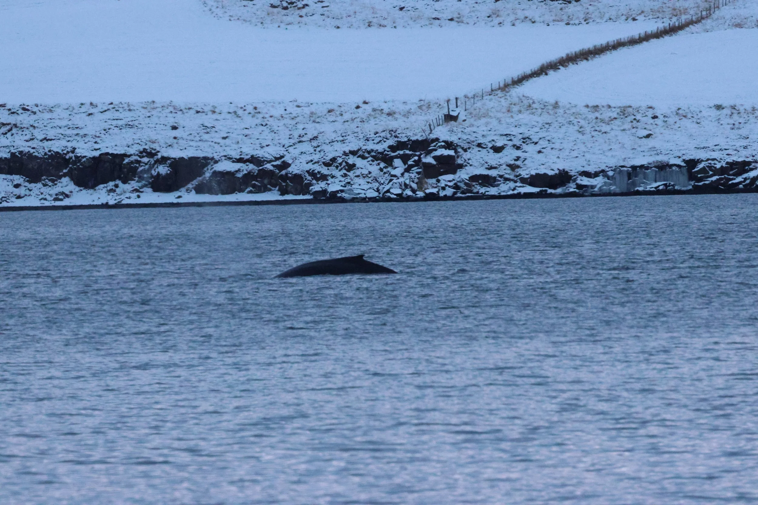 2026_01_08_1100_KON_GISELA (60).JPG