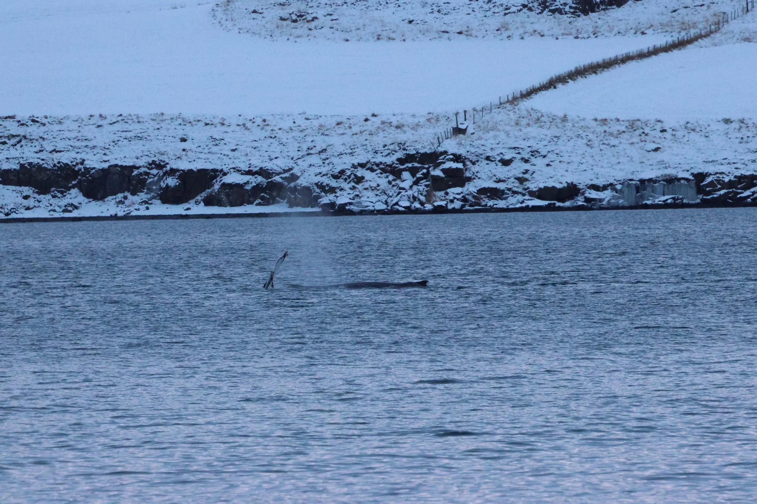 2026_01_08_1100_KON_GISELA (59).JPG