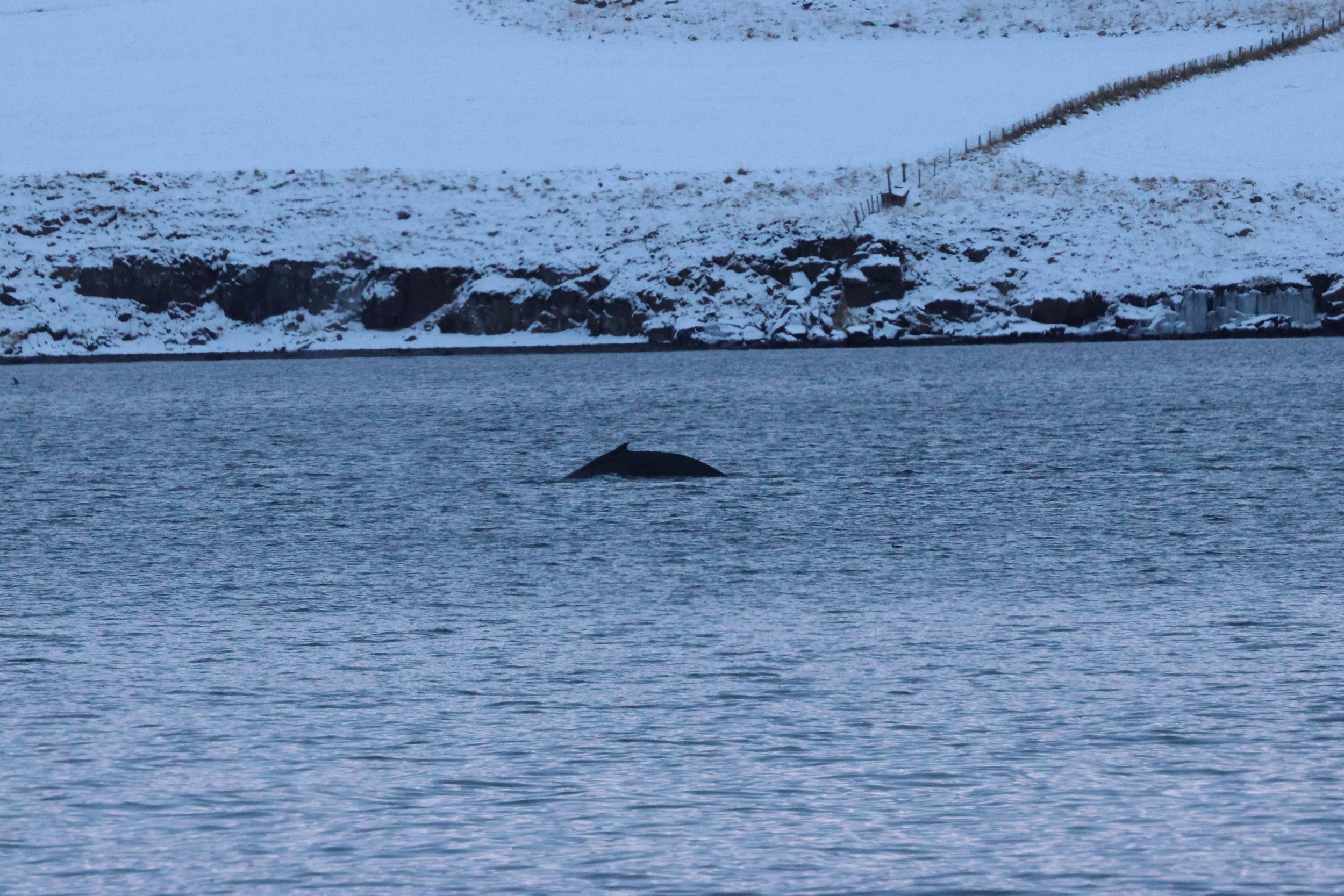 2026_01_08_1100_KON_GISELA (61).JPG