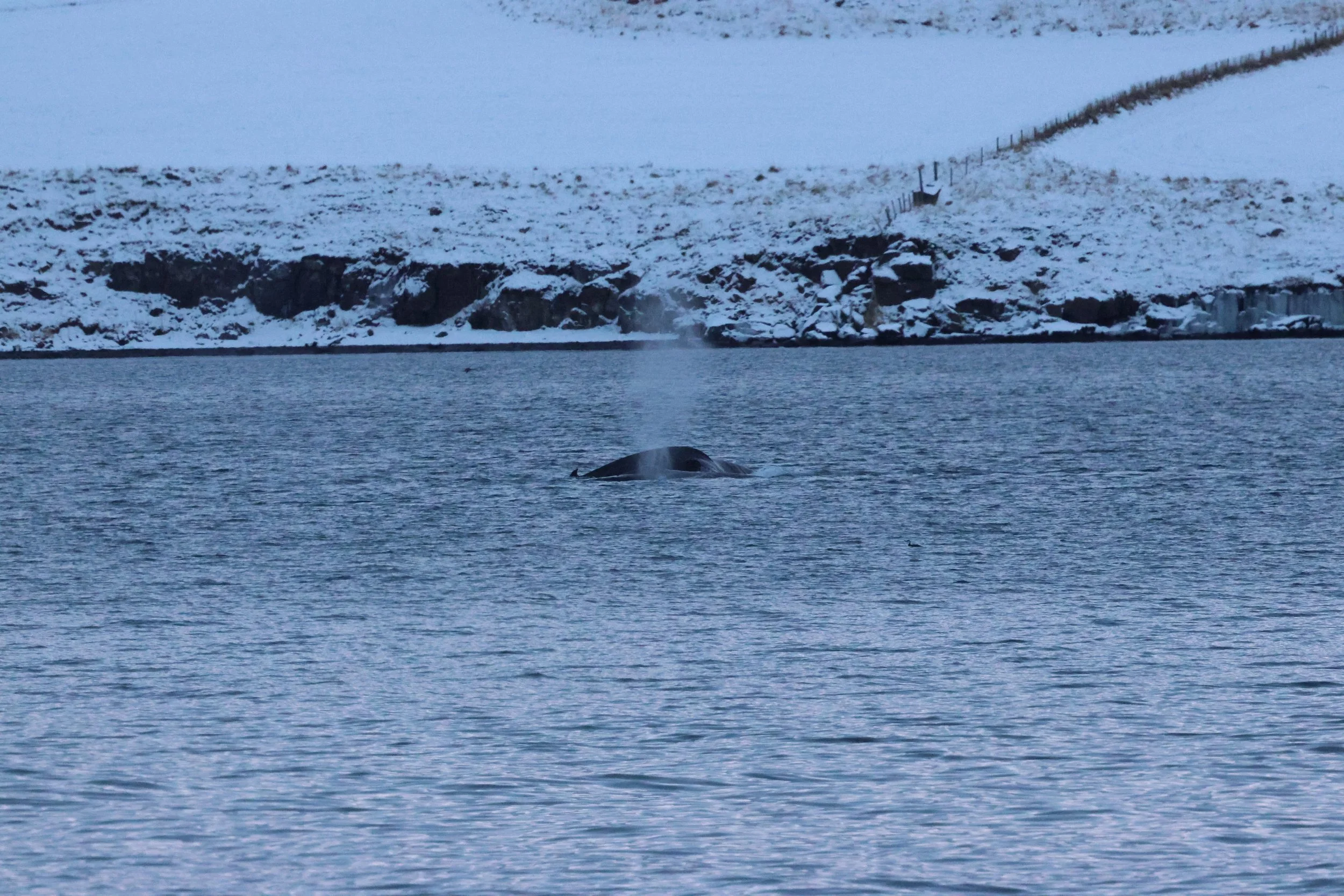 2026_01_08_1100_KON_GISELA (62).JPG