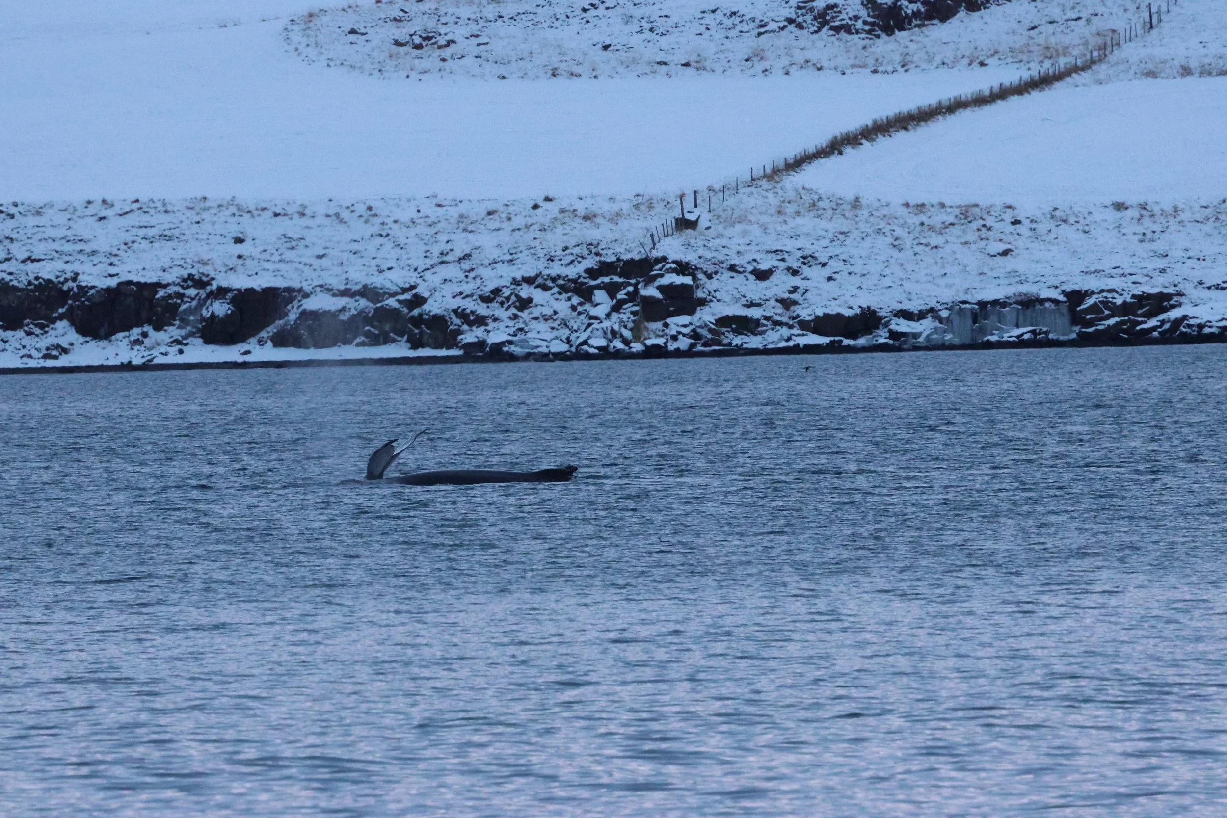 2026_01_08_1100_KON_GISELA (64).JPG