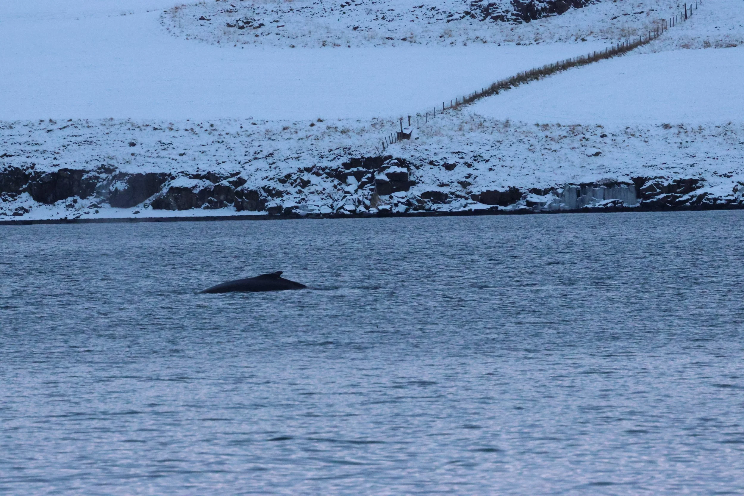 2026_01_08_1100_KON_GISELA (65).JPG