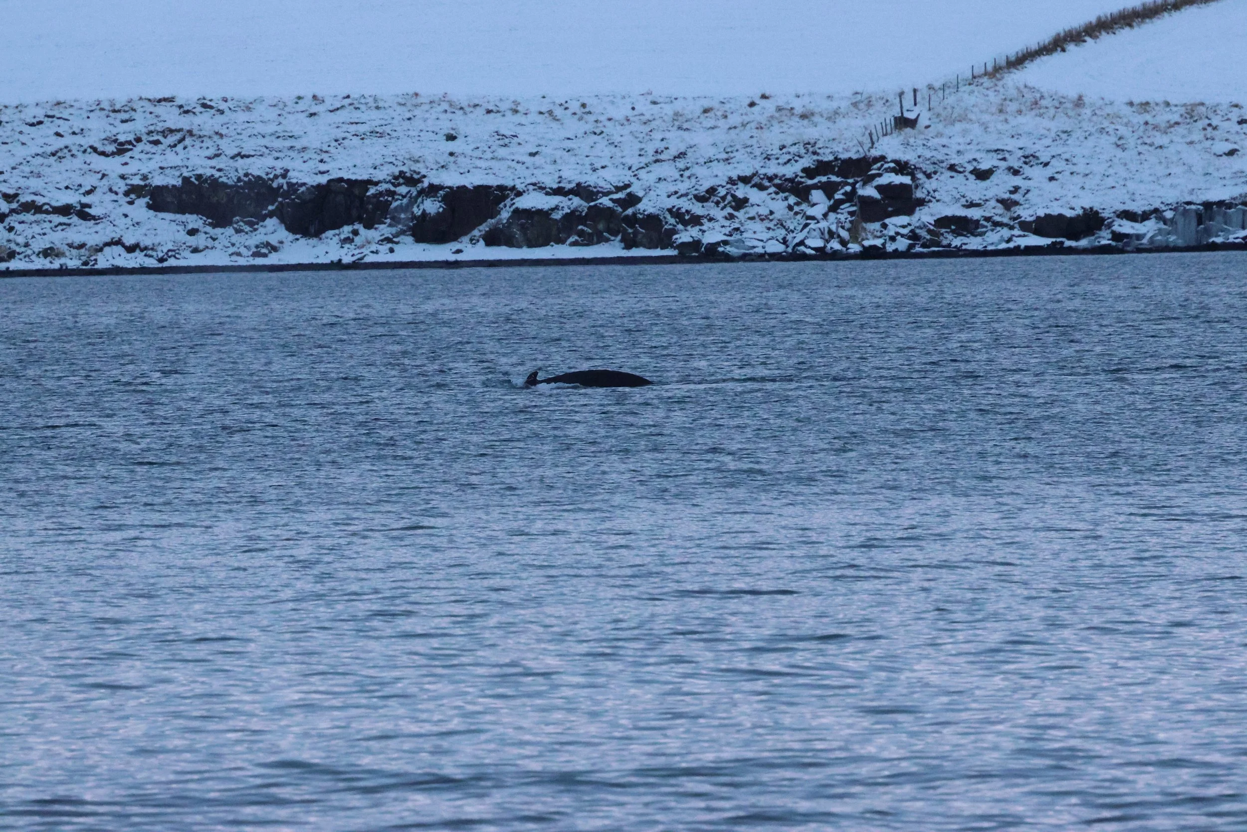 2026_01_08_1100_KON_GISELA (67).JPG