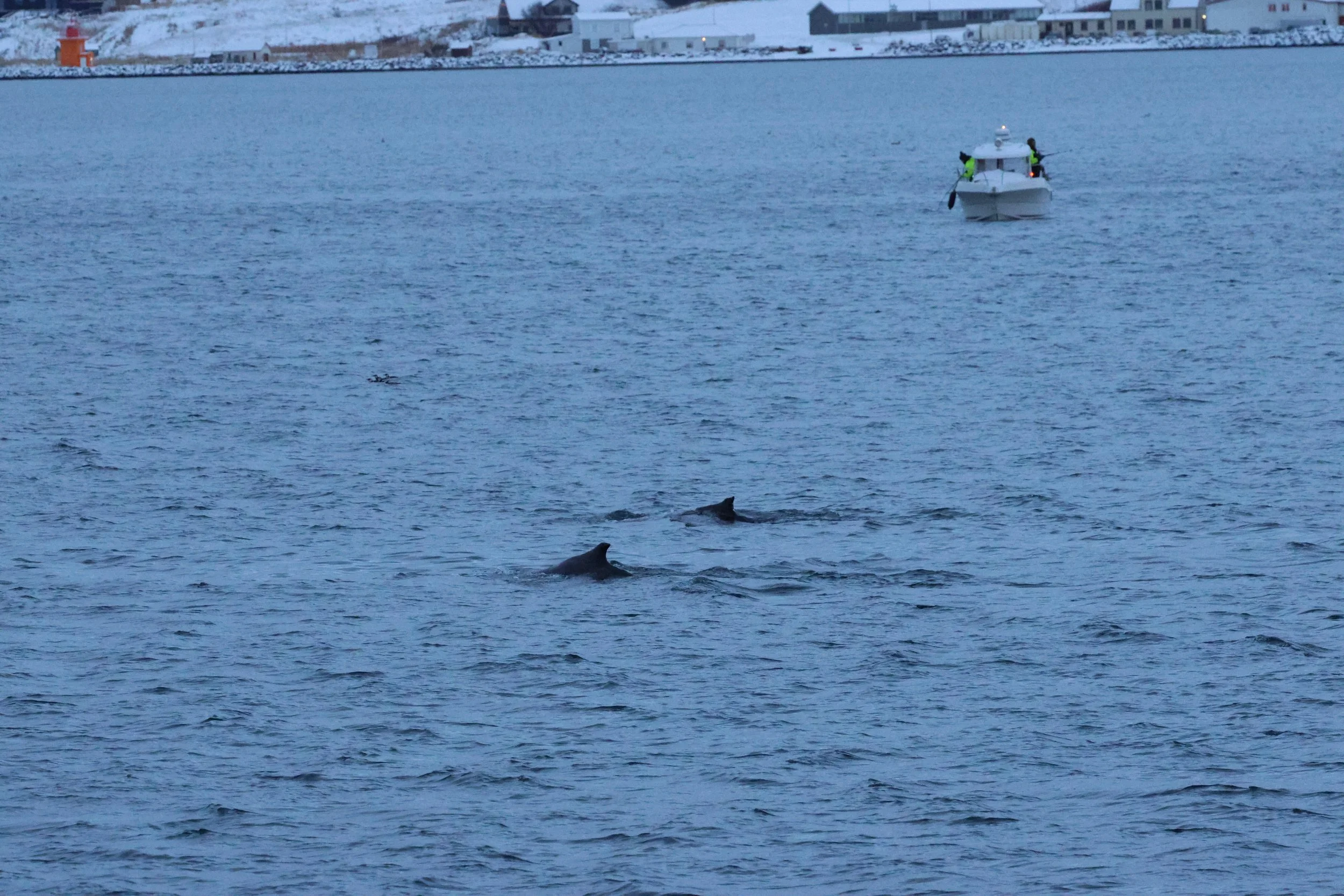 2026_01_08_1100_KON_GISELA (69).JPG