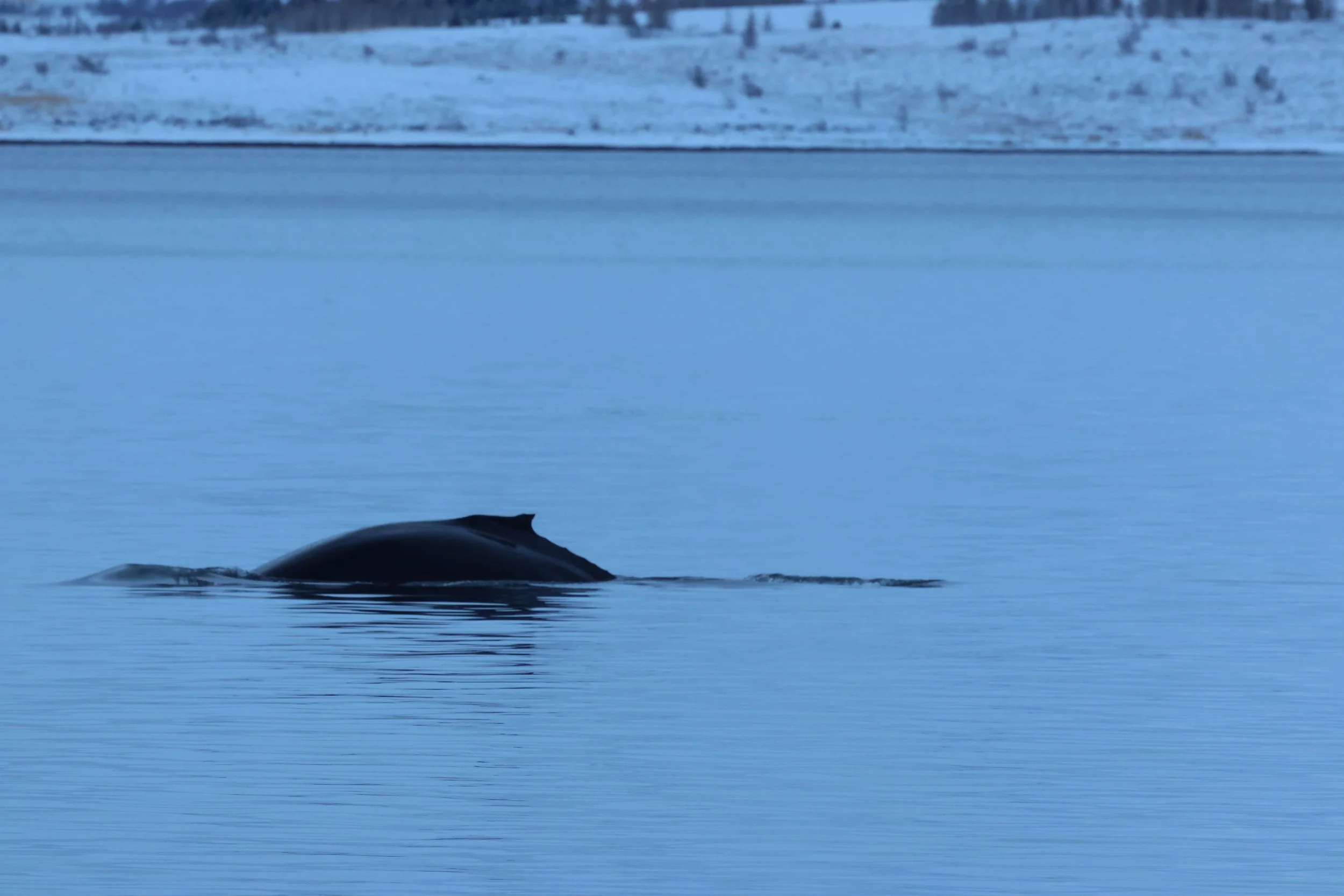 2026_01_10_1100_KON_GISELA (41).JPG