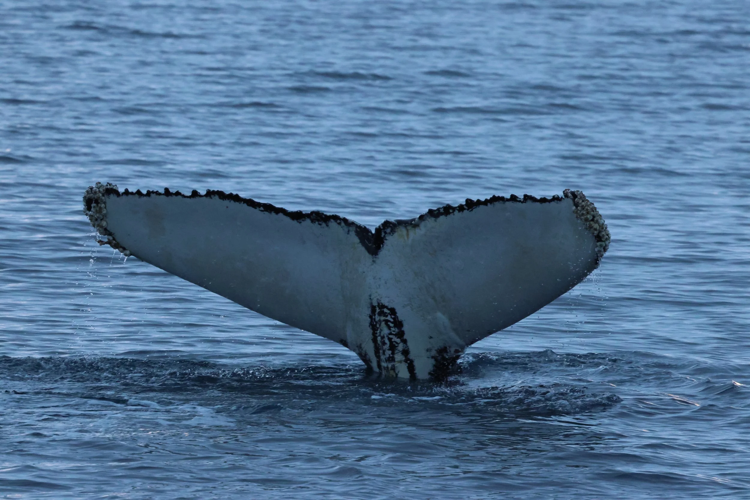 Saturday, 10 January 2026