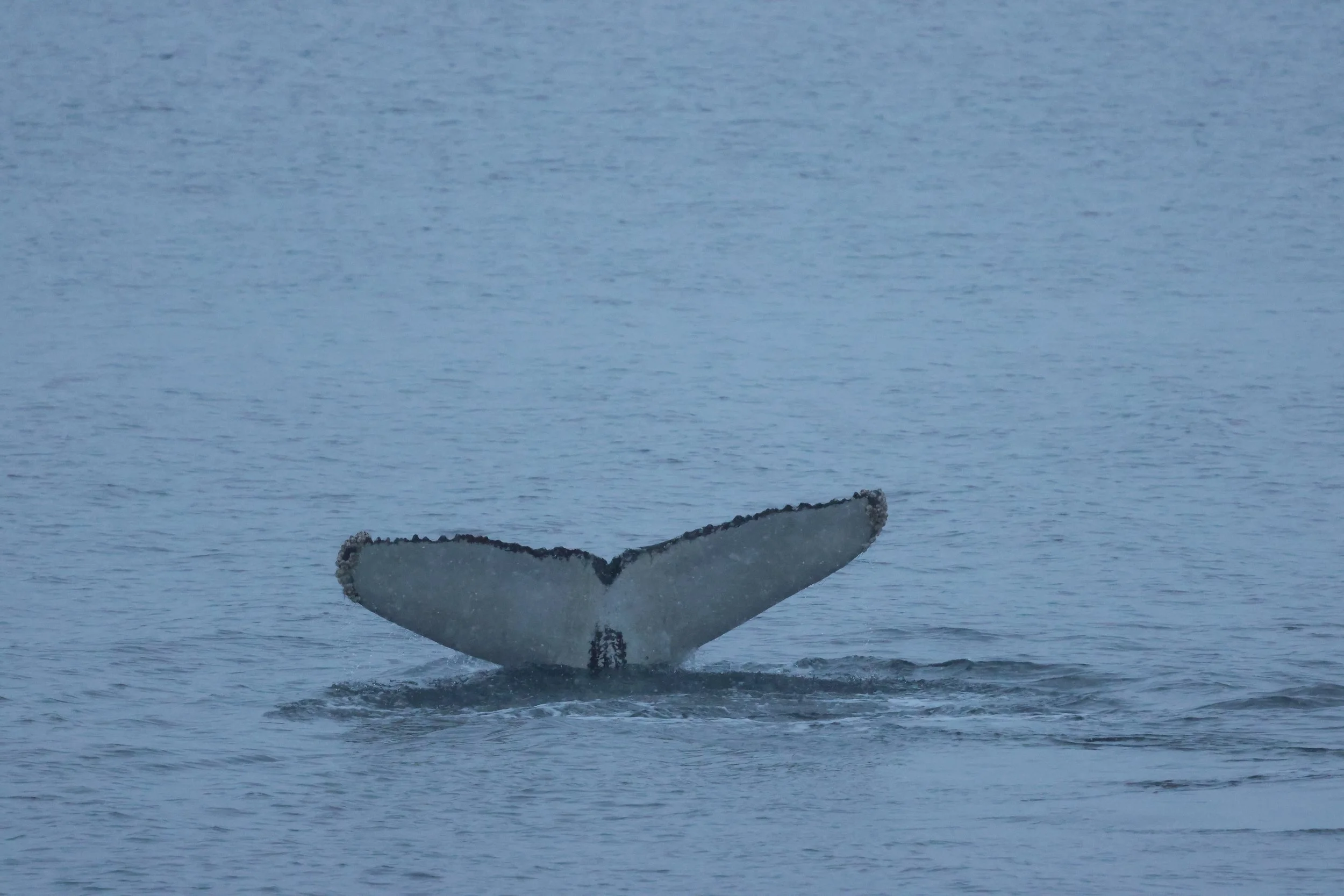 Sunday, 11 January 2026