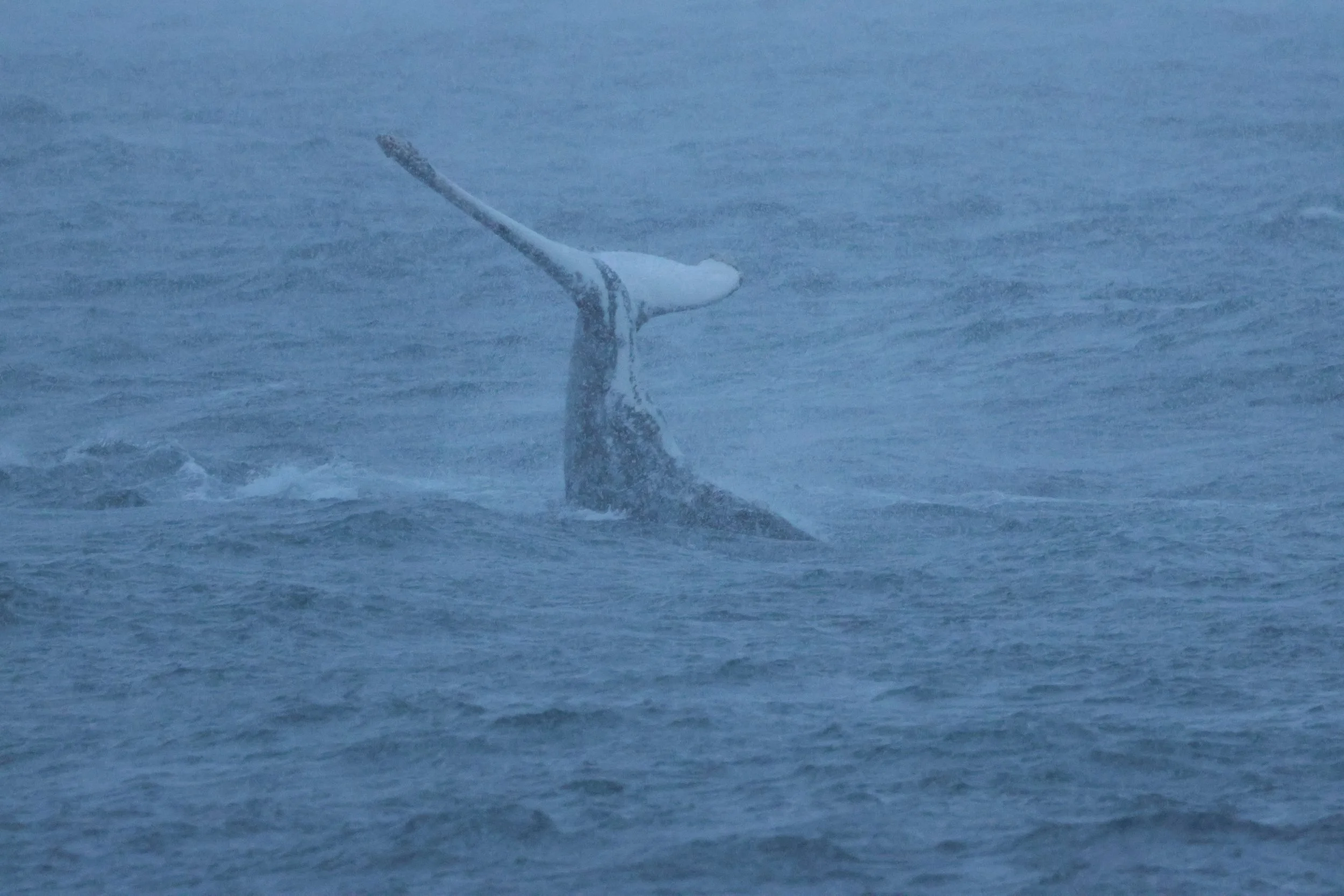 Monday, 12 January 2026