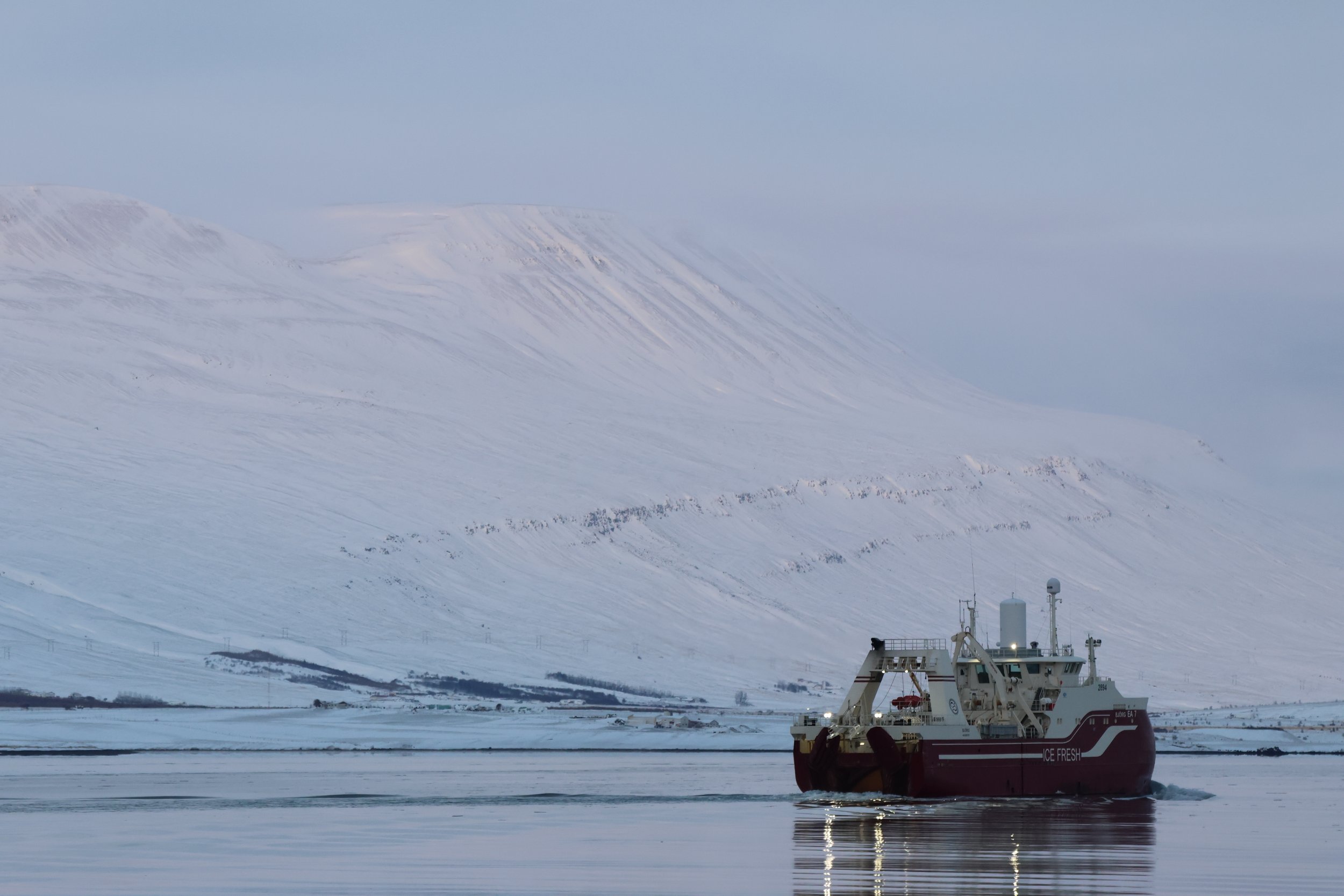 2026_01_14_1100_KON_JACOB (1).JPG