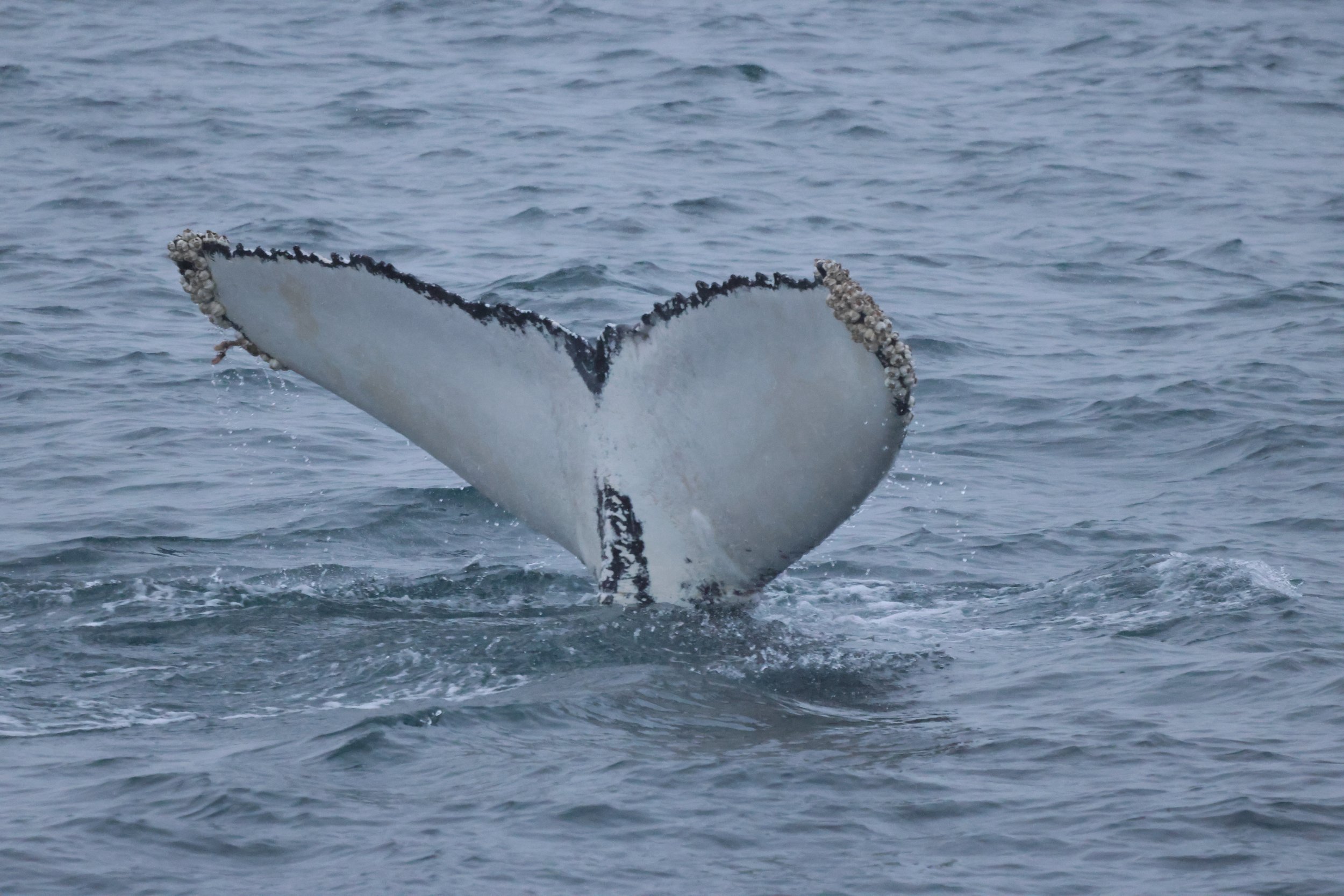 Thursday, 15 January 2026