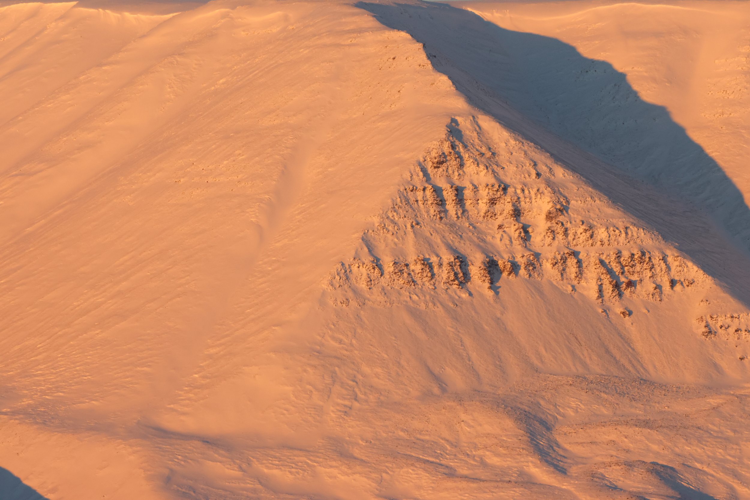 Saturday, 17 January 2026