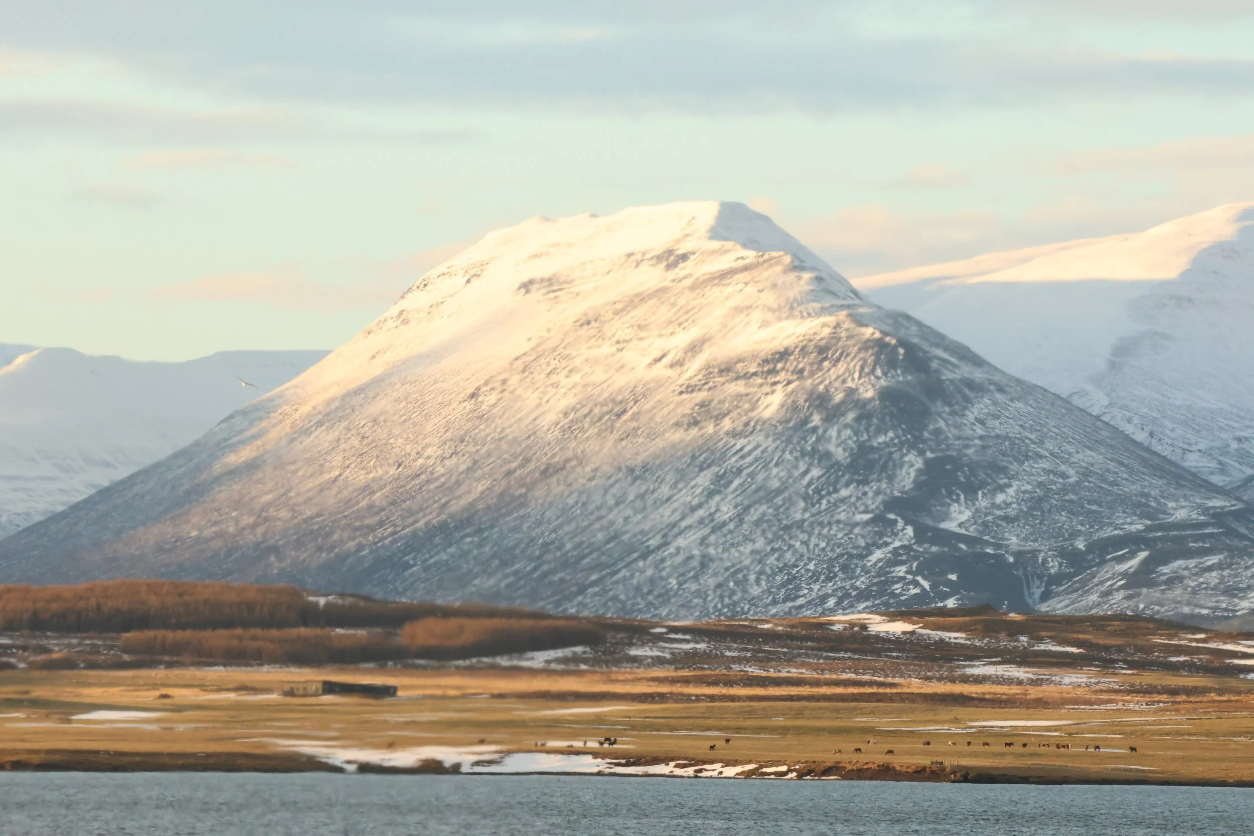 2026_01_19_1100_HOL_JACOB (34).JPG