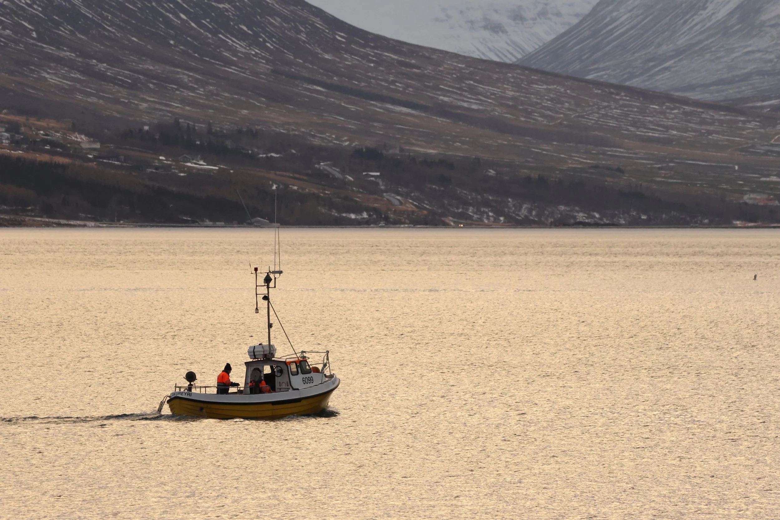 2026_01_22_1100_KON_JACOB (20).JPG