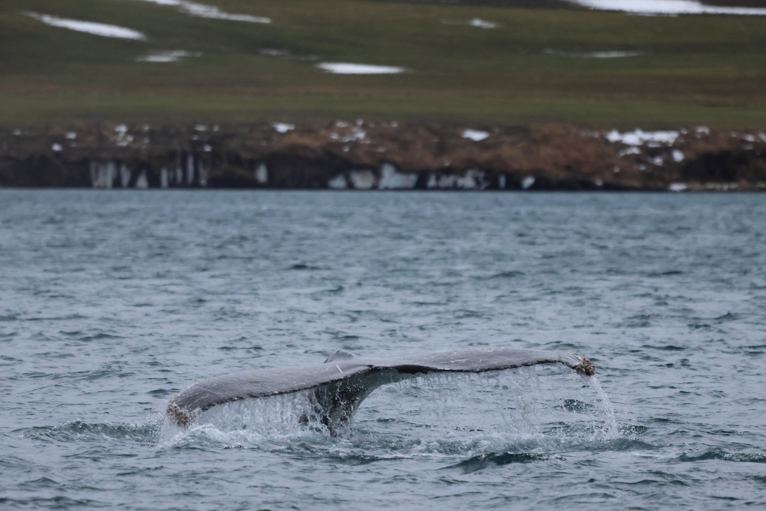 Thursday, 22 January 2026