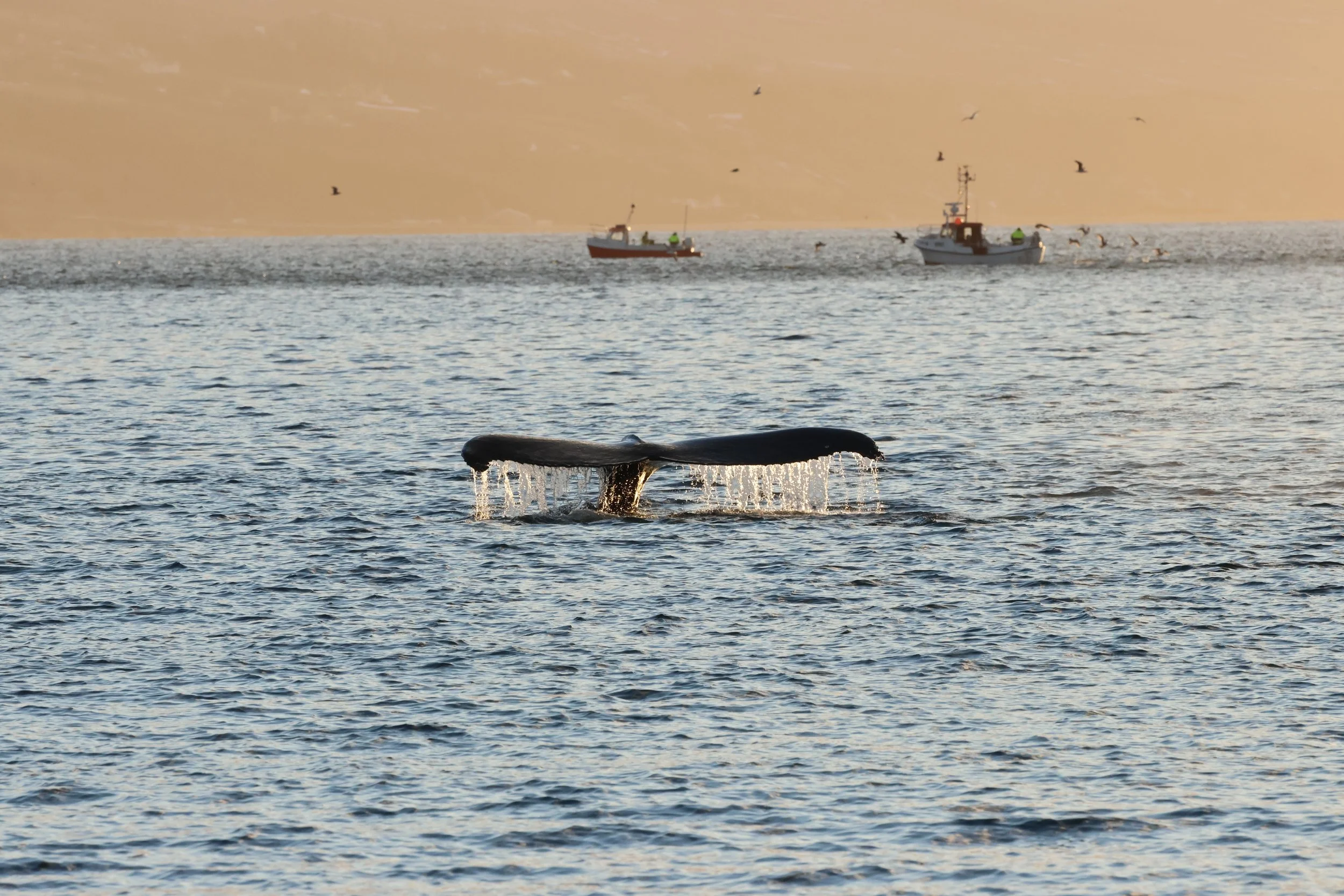 Saturday, 24 January 2026