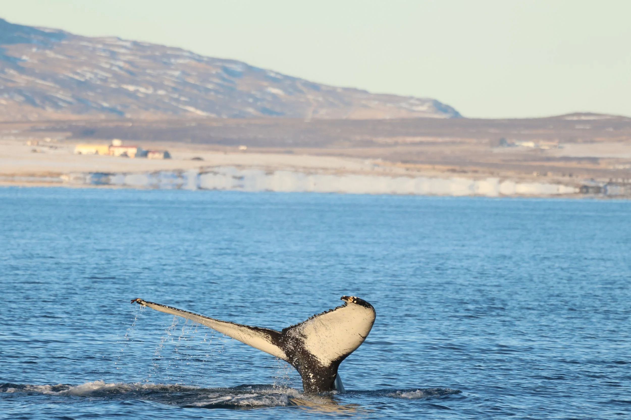 Tuesday, 3 February 2026