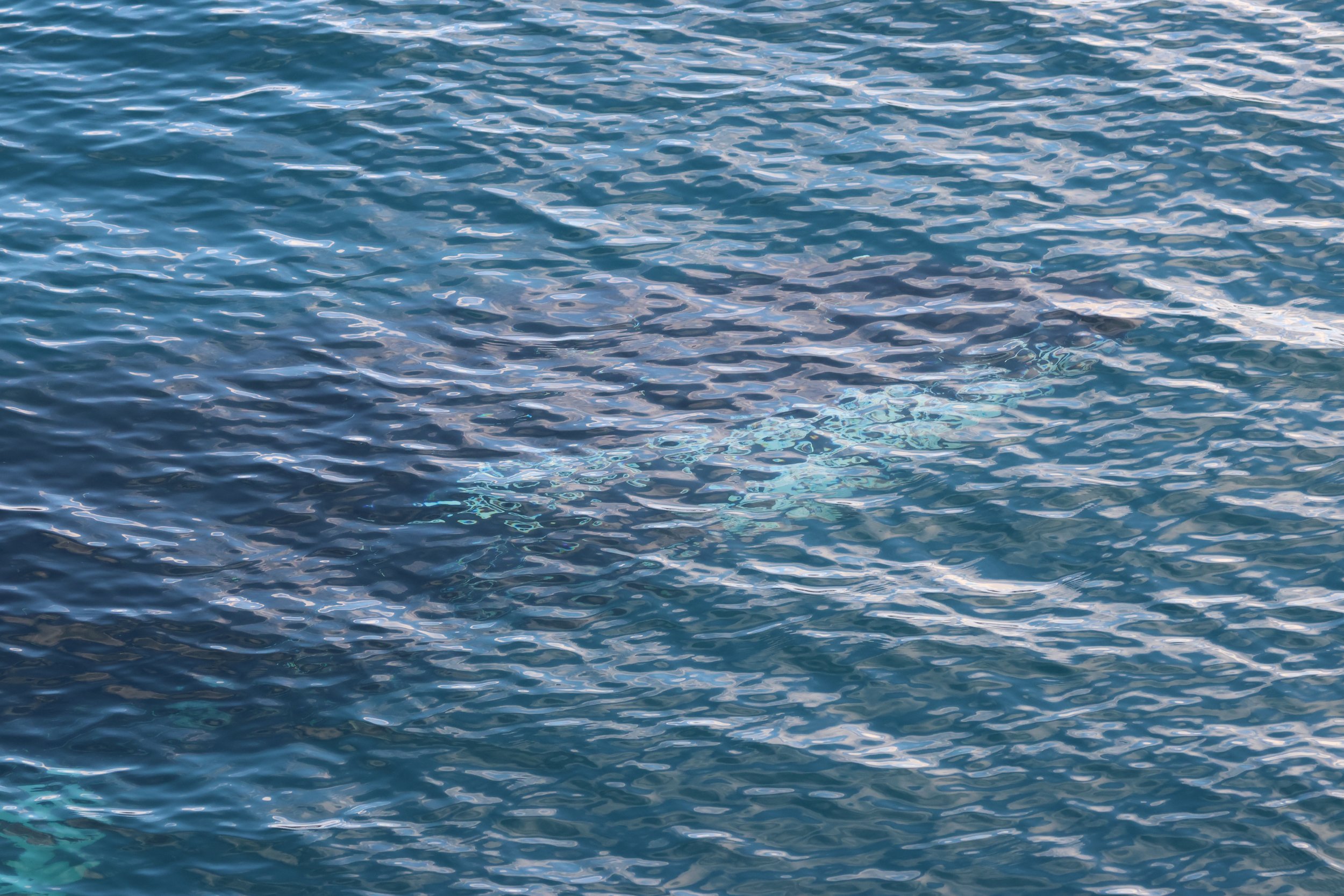 2026_02_05_1300_HOL_GISELA (73).JPG