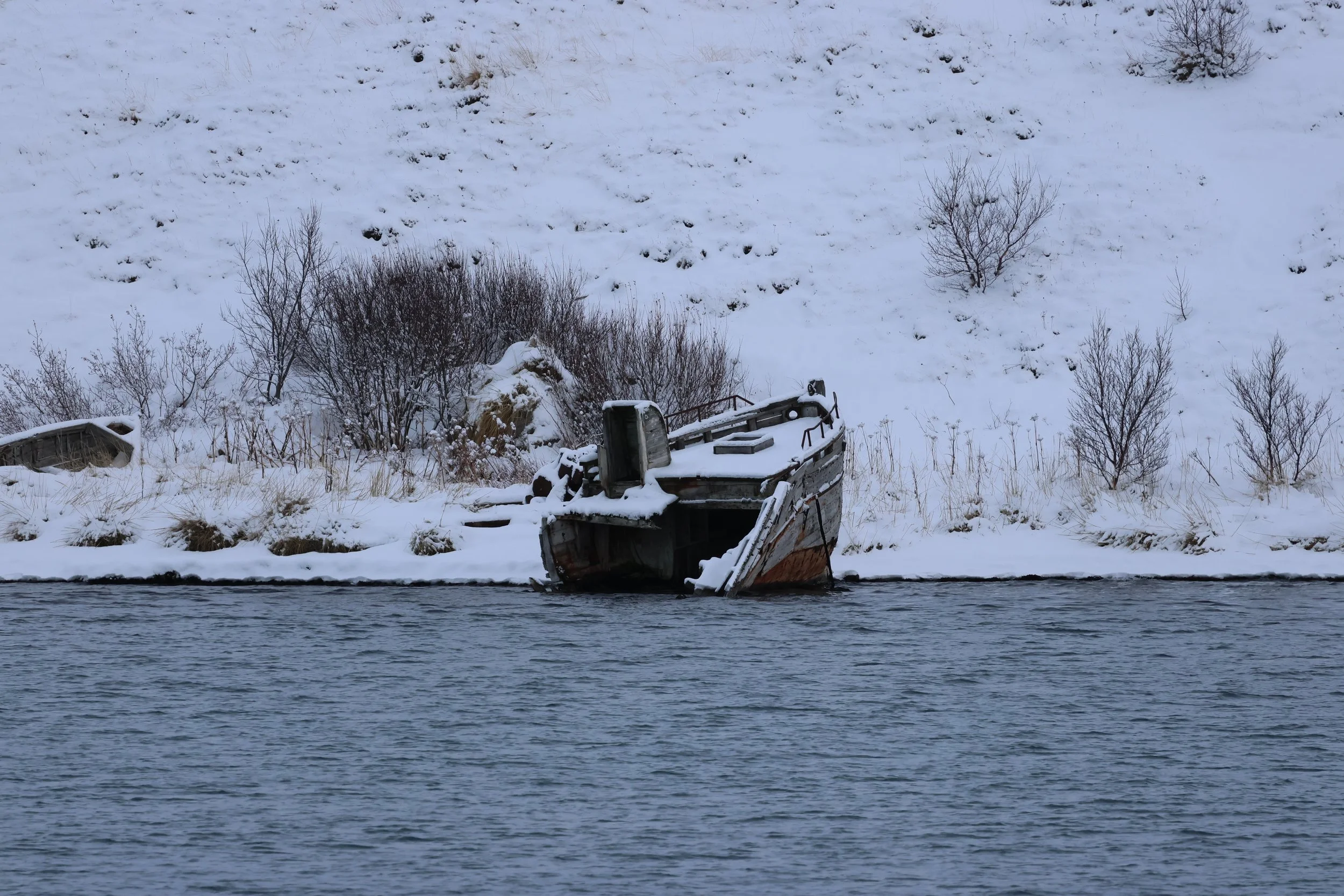 2026_02_06_1300_HOL_GISELA (4).JPG