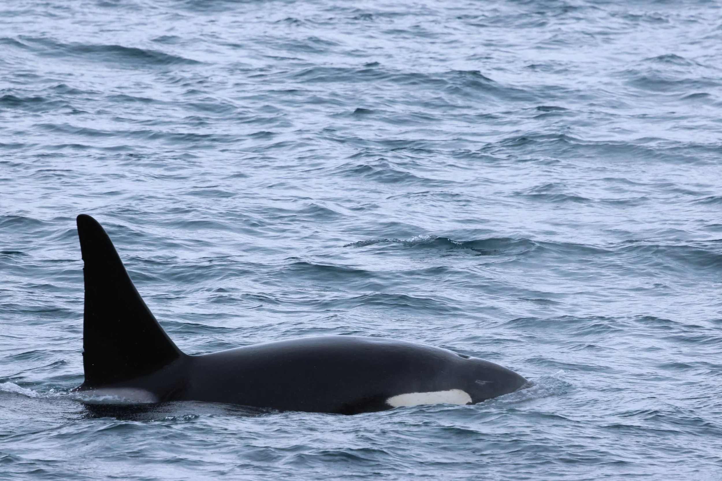 Friday, 6 February 2026