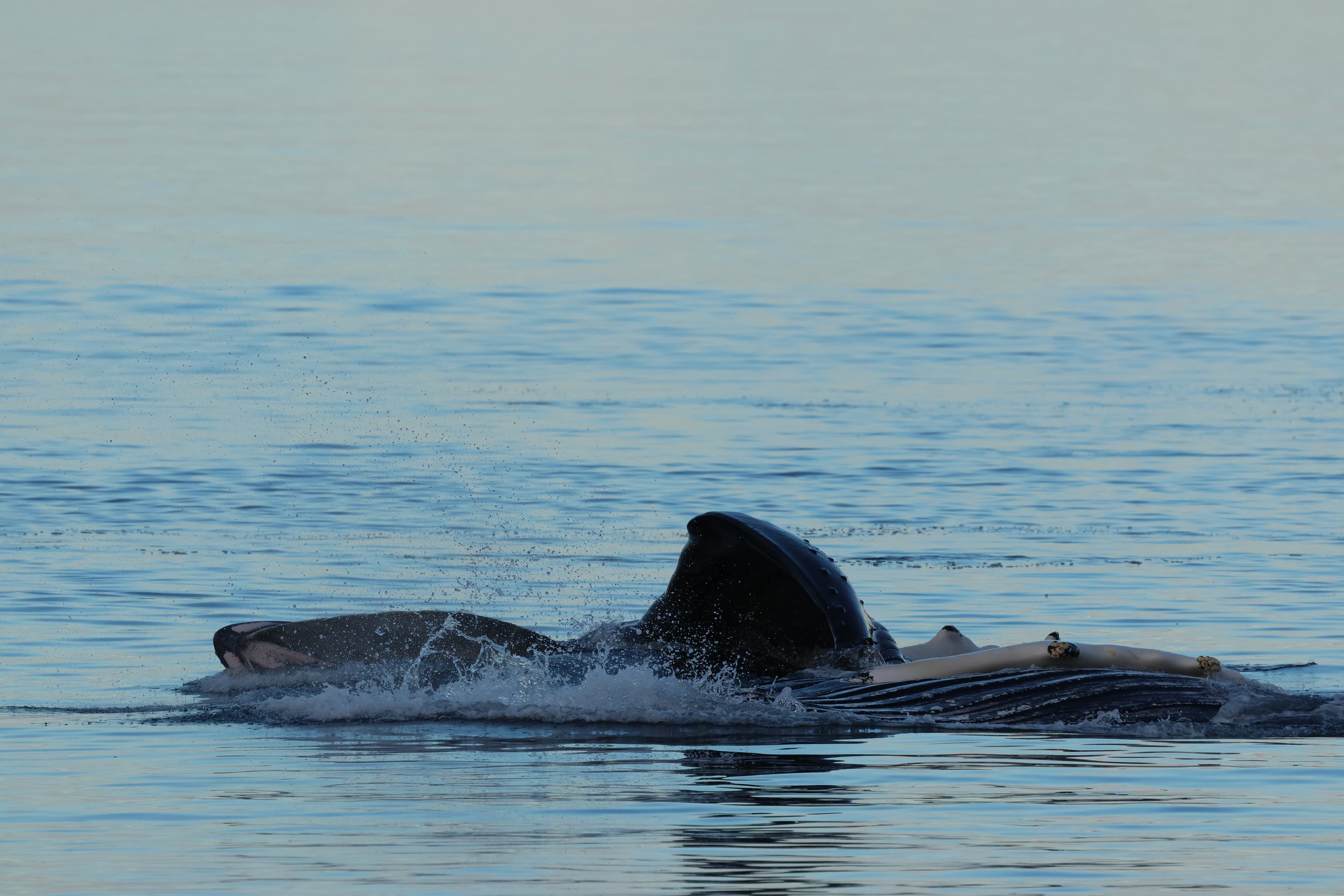 Saturday, 7 February 2026