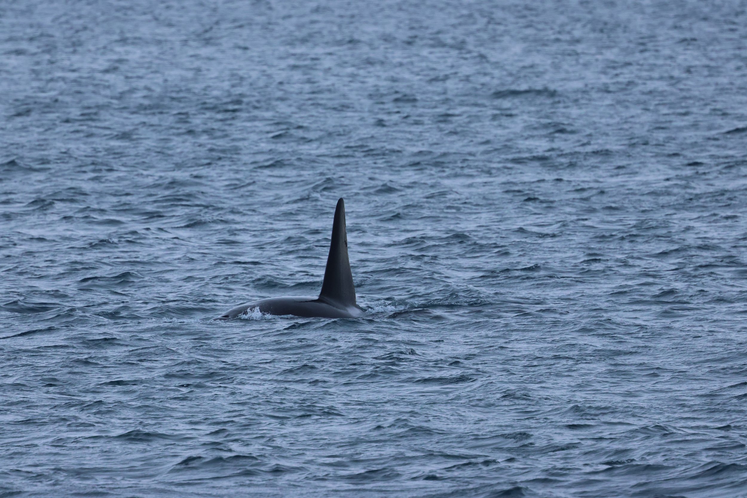 Tuesday, 10 February 2026