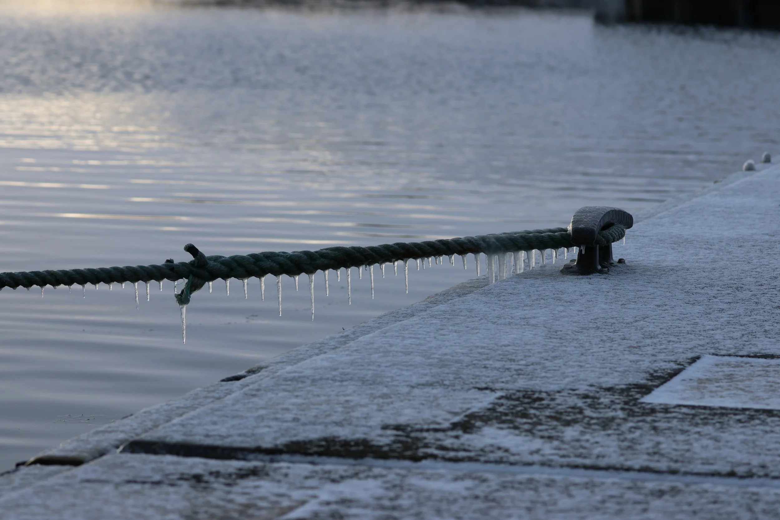 2026_02_11_1300_HOL_GISELA (1).JPG