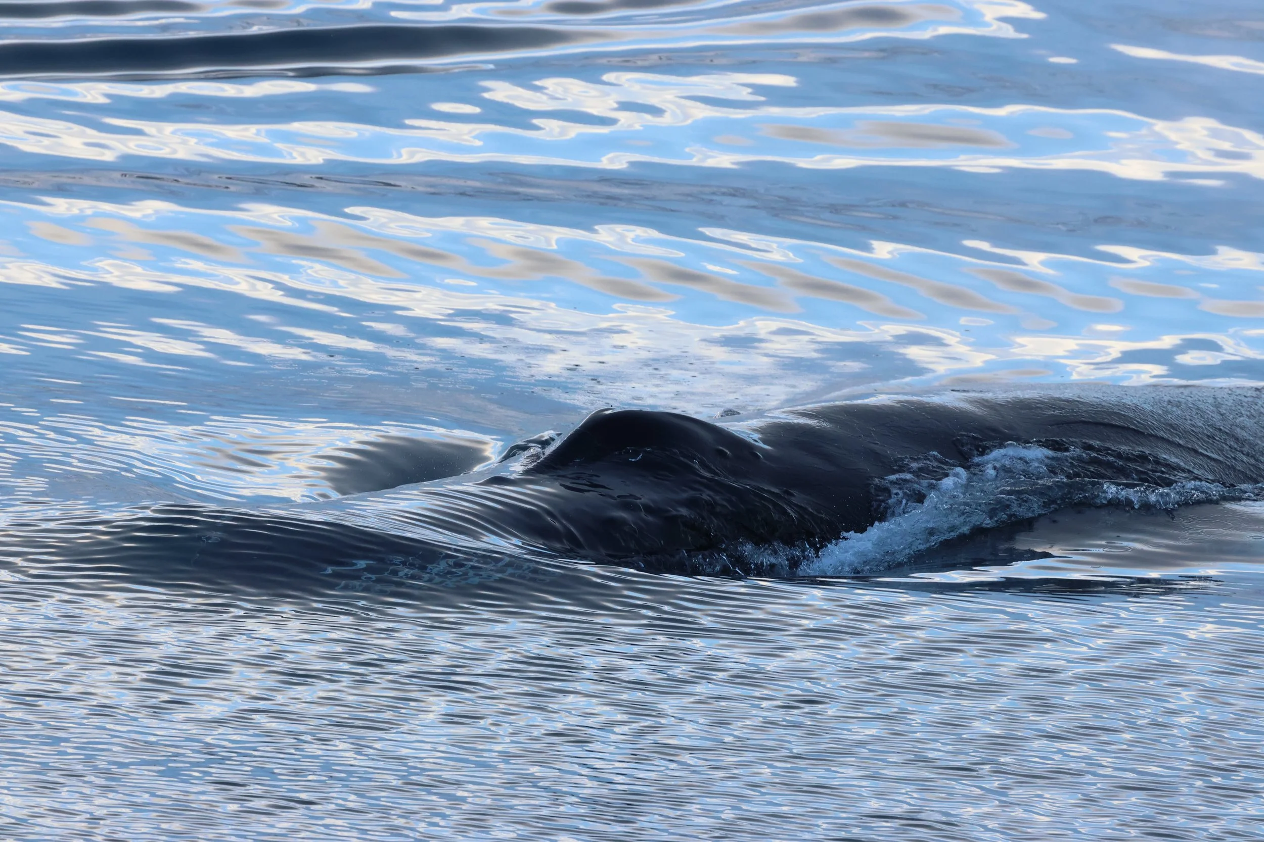 Thursday, 12 February 2026