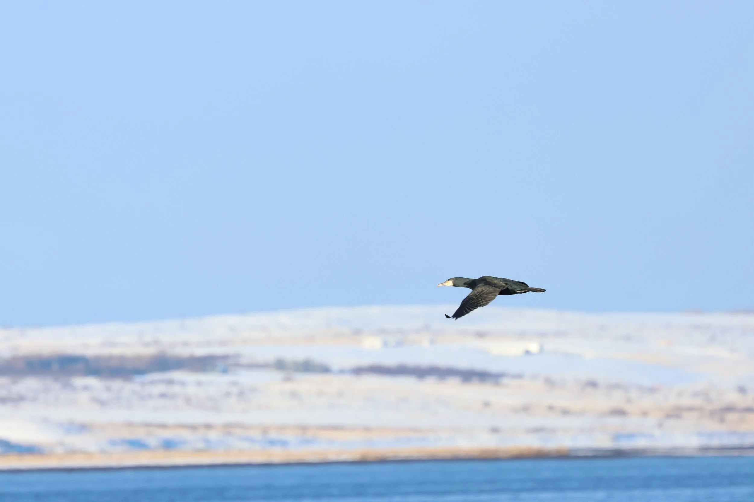 2026_02_13_1300_HOL_GISELA (23).JPG