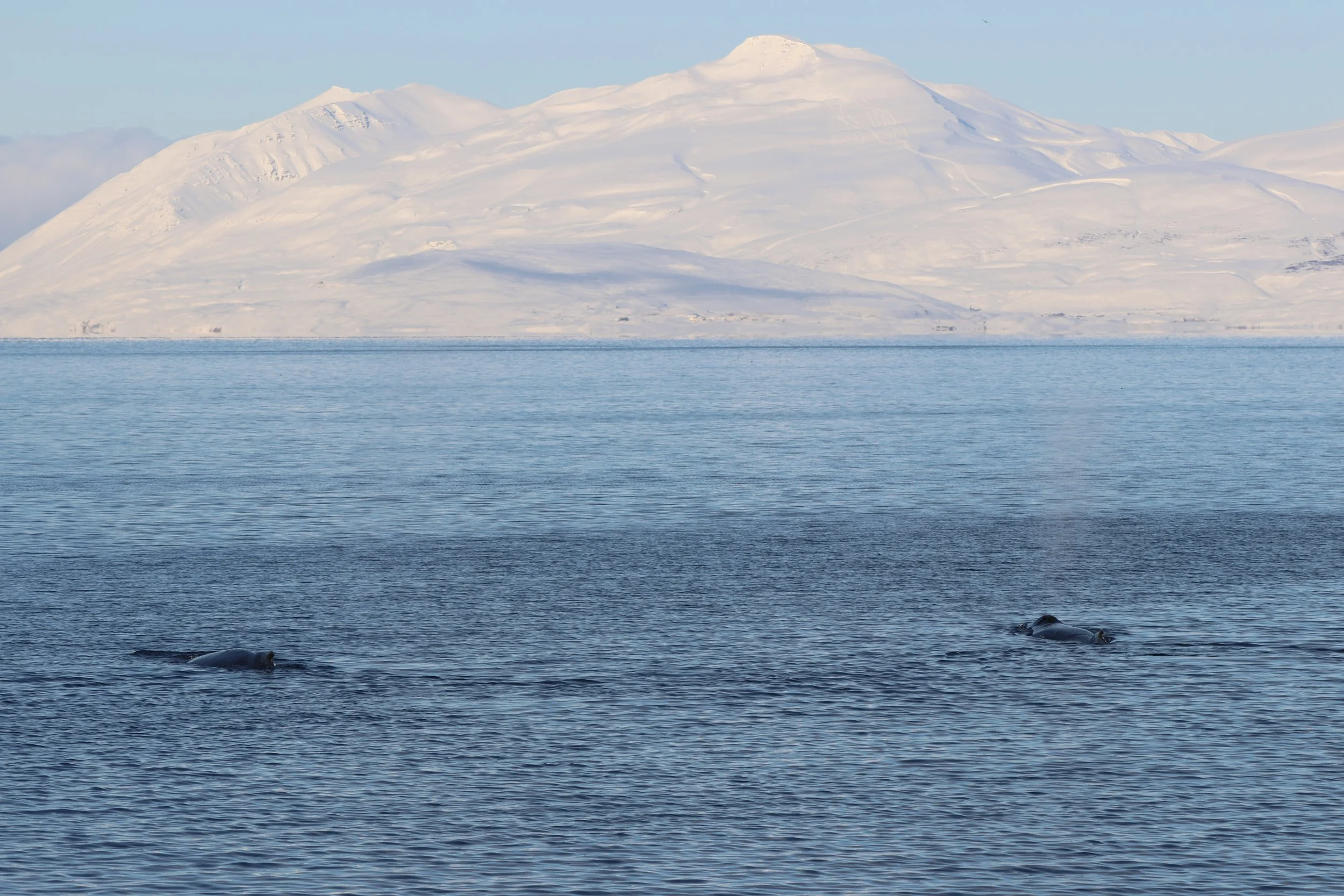 2026_02_14_1300_KON_YOANN (52).JPG