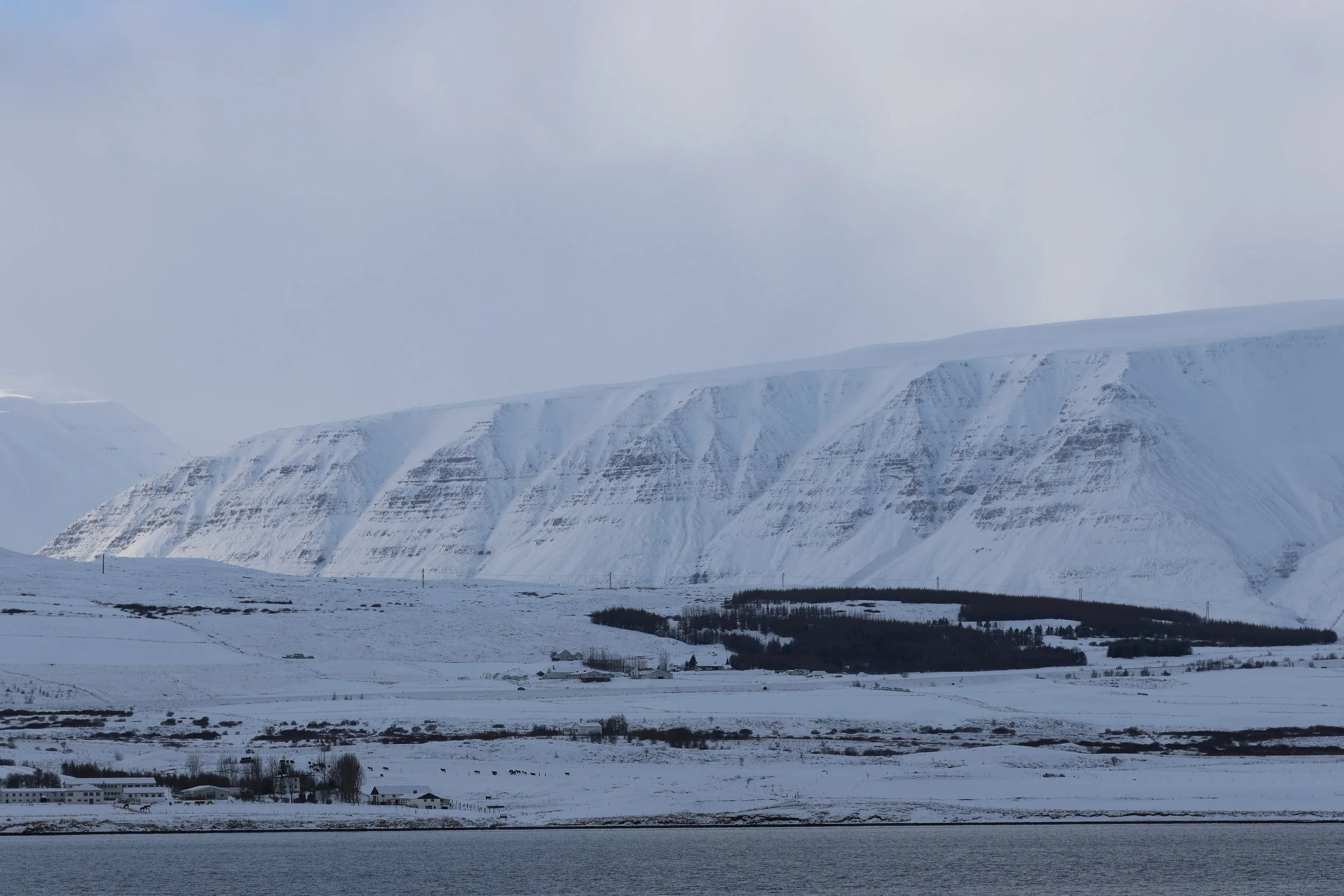 2026_02_16_1300_HOL_GISELA (24).JPG