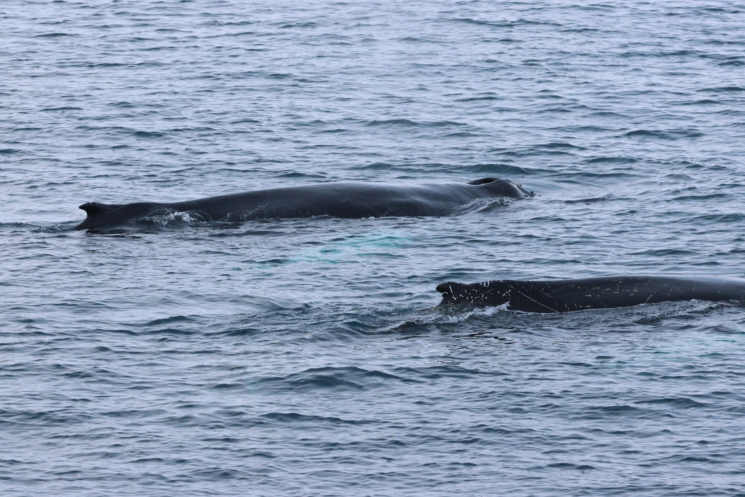 Monday, 16 February 2026