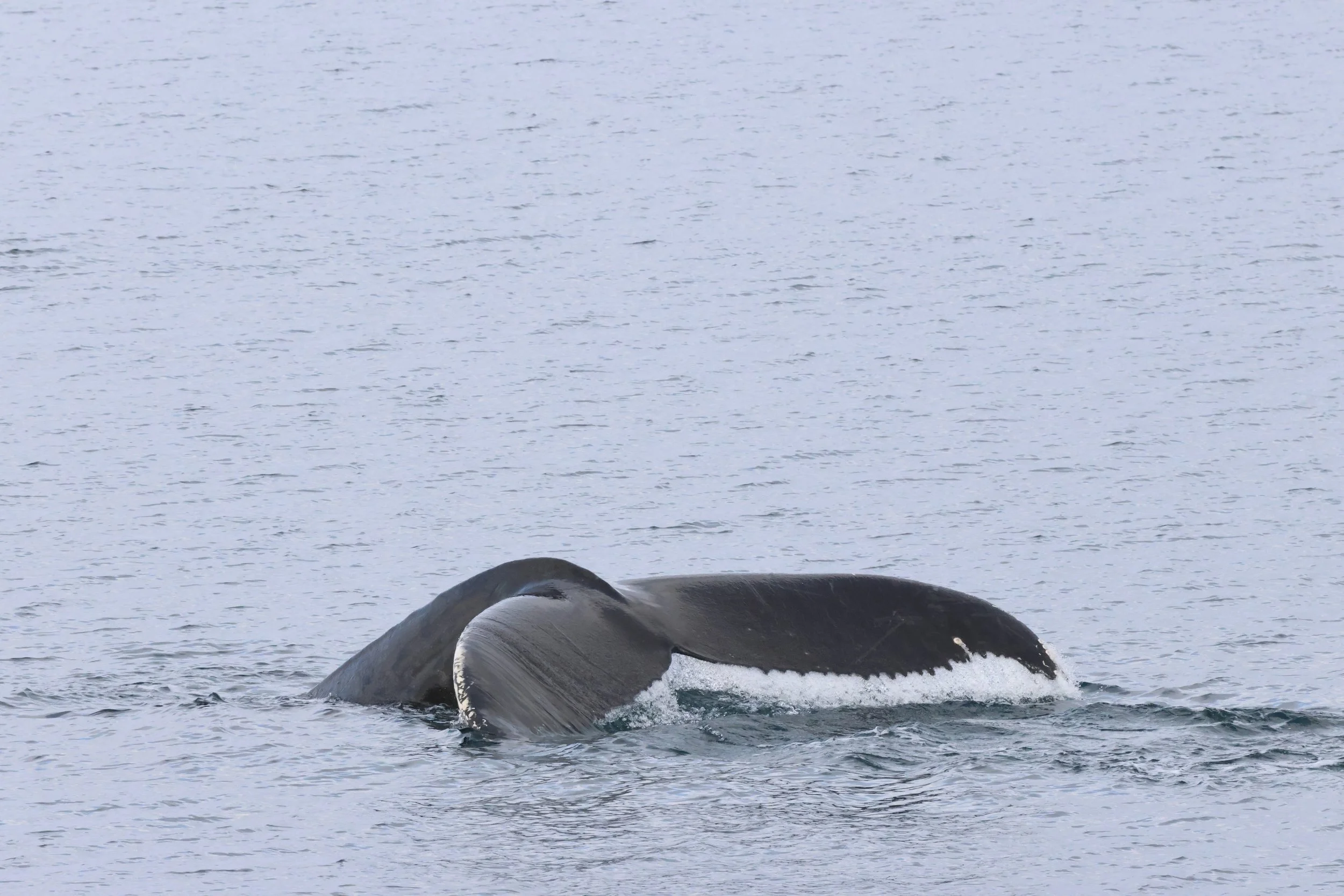 Wednesday, 18 February 2026