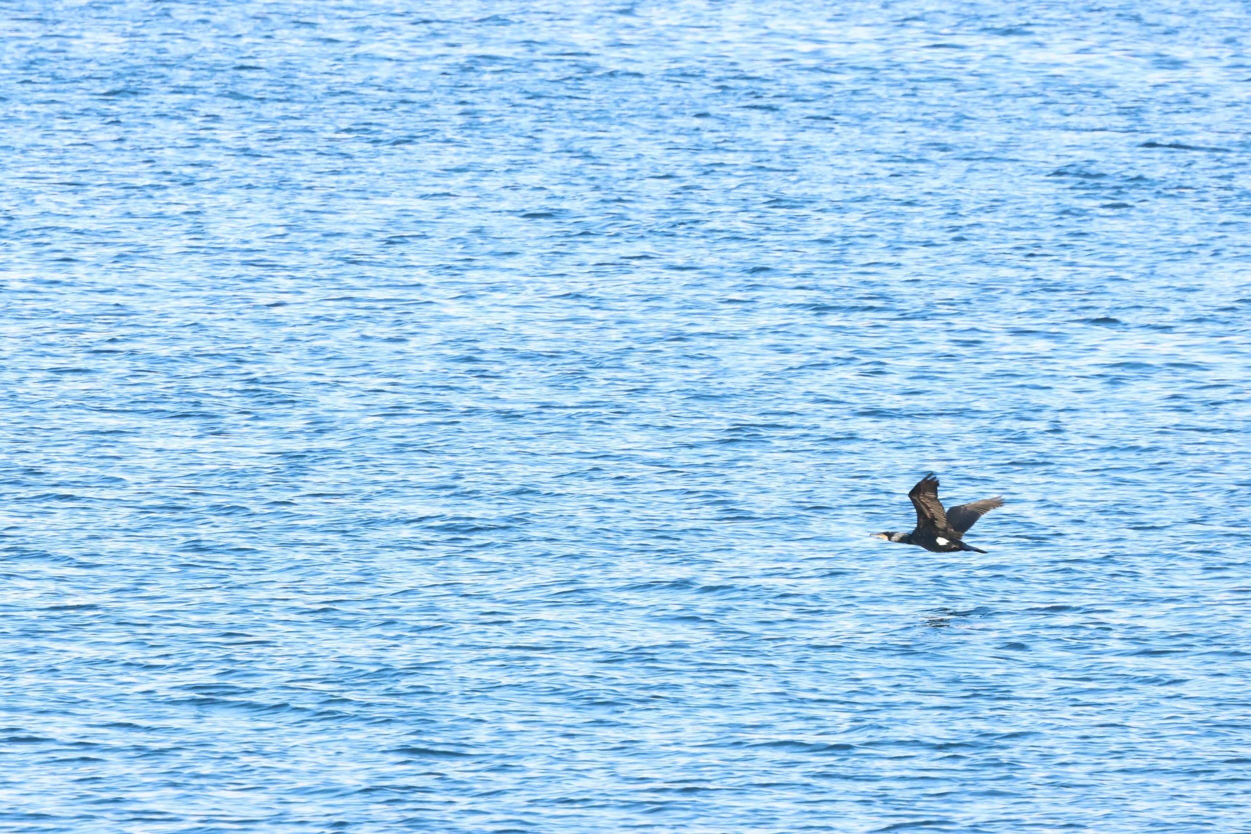 2026_02_17_1300_HOL_GISELA (1).JPG