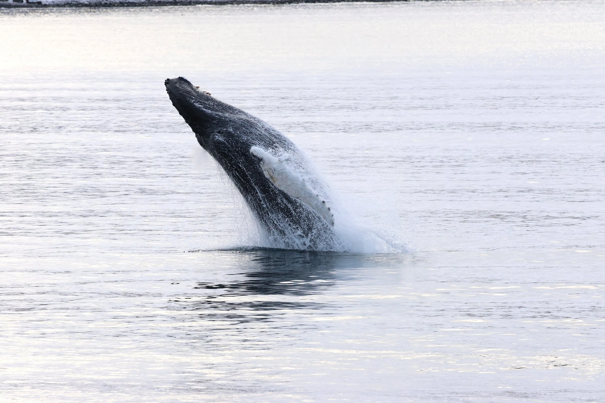 Tuesday, 17 February 2026