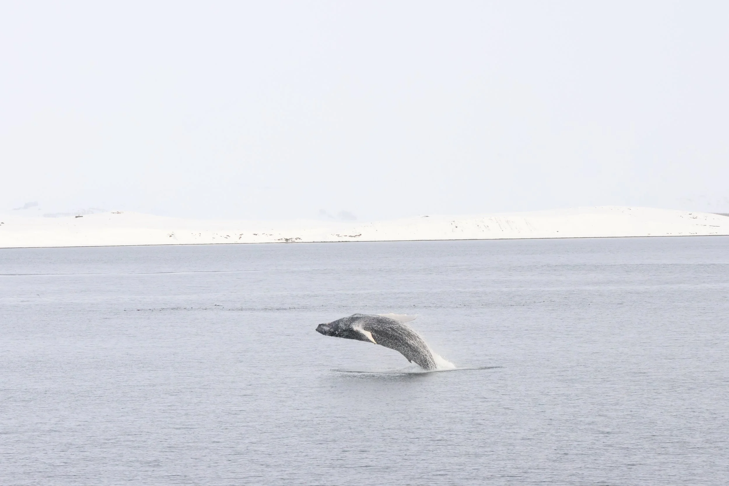 Friday, 20 February 2026