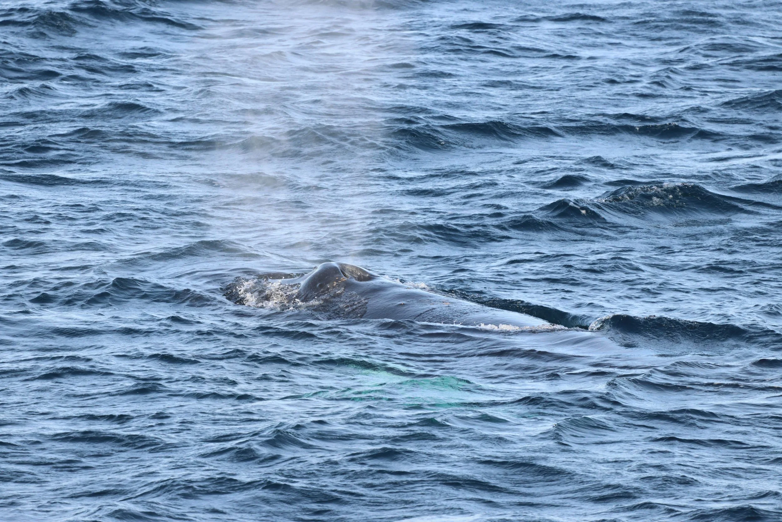 2026_02_22_1300_HOL_JACOB (15).JPG